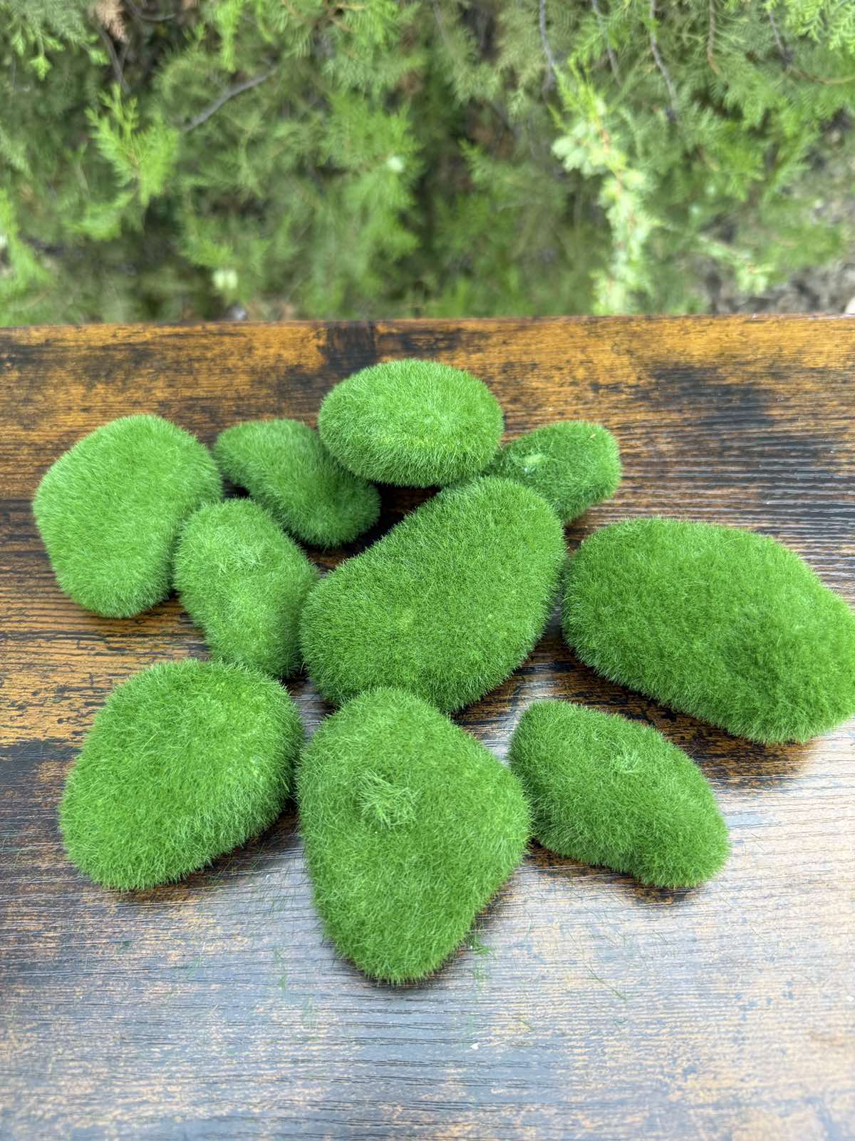 Камъни с мъх