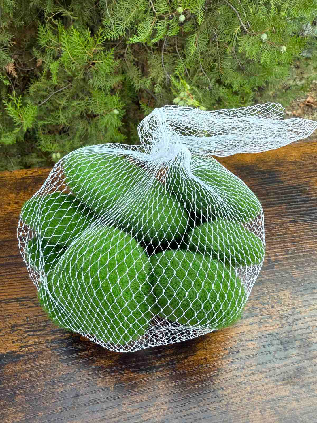 Камъни с мъх