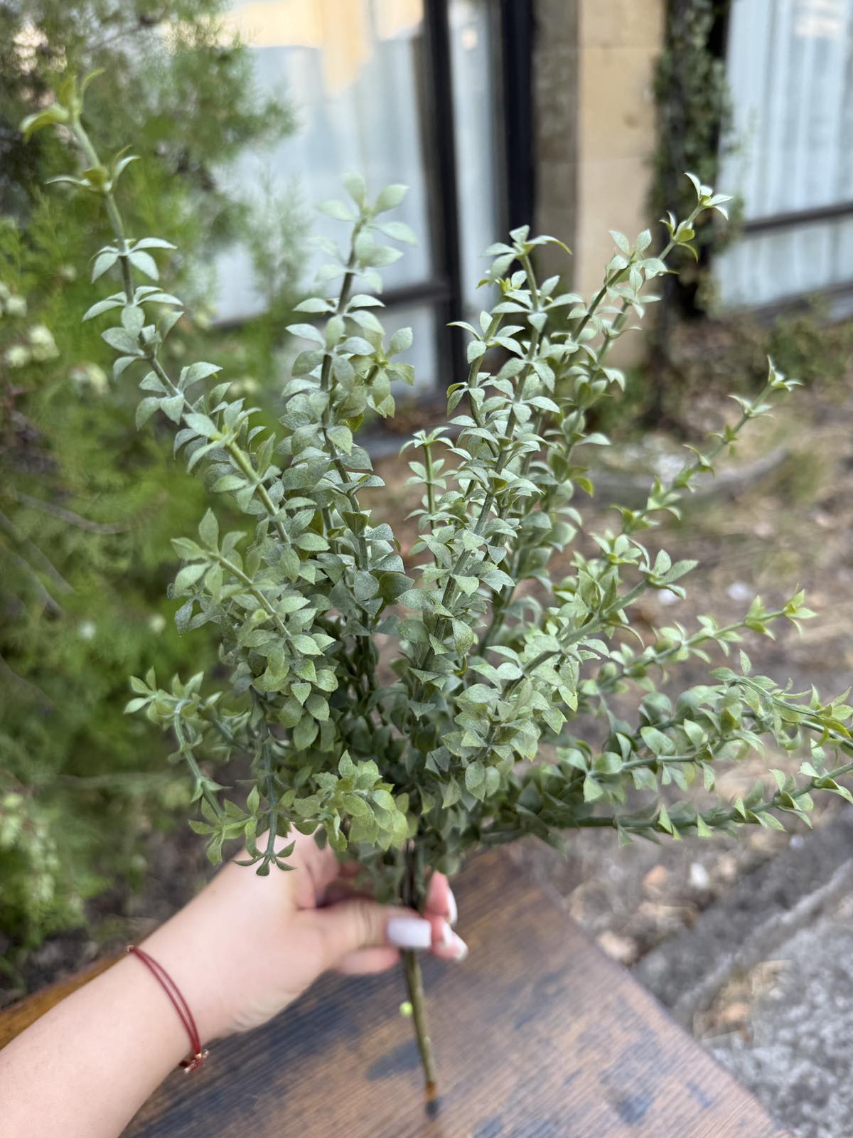 Зеленина воден кресон