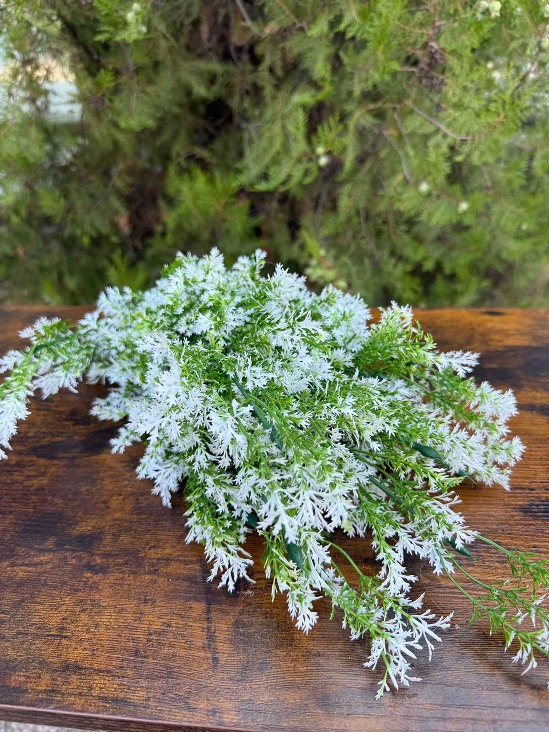 Зеленина с бели листенца