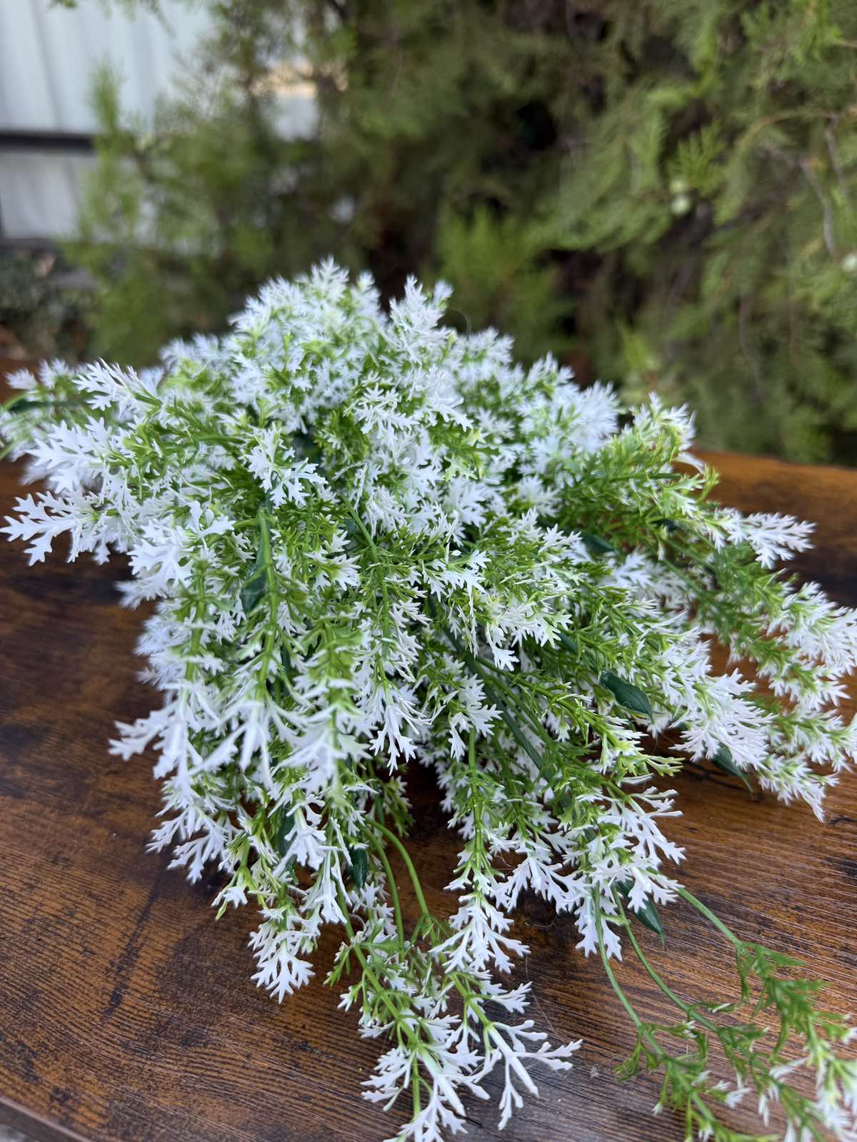 Зеленина с бели листенца