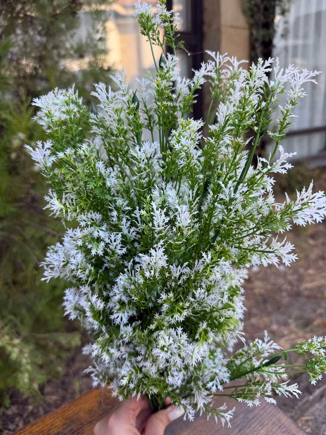 Зеленина с бели листенца