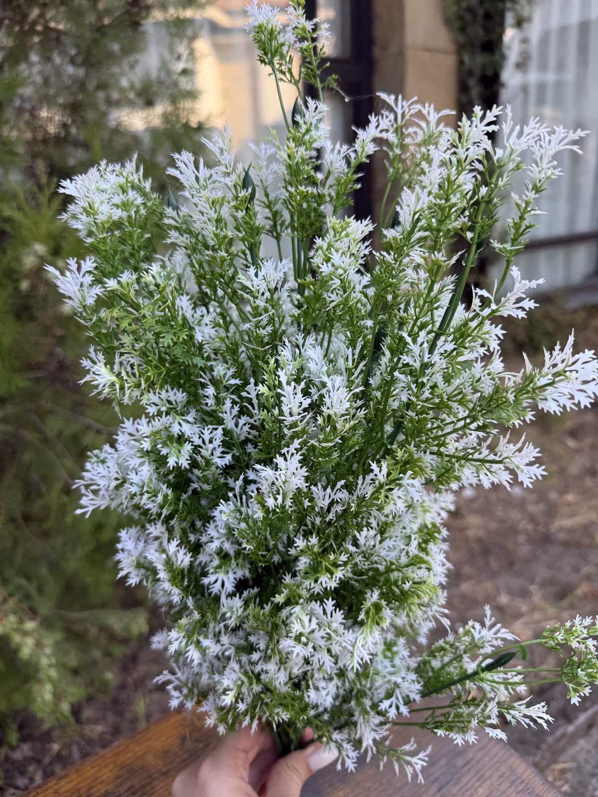 Зеленина с бели листенца