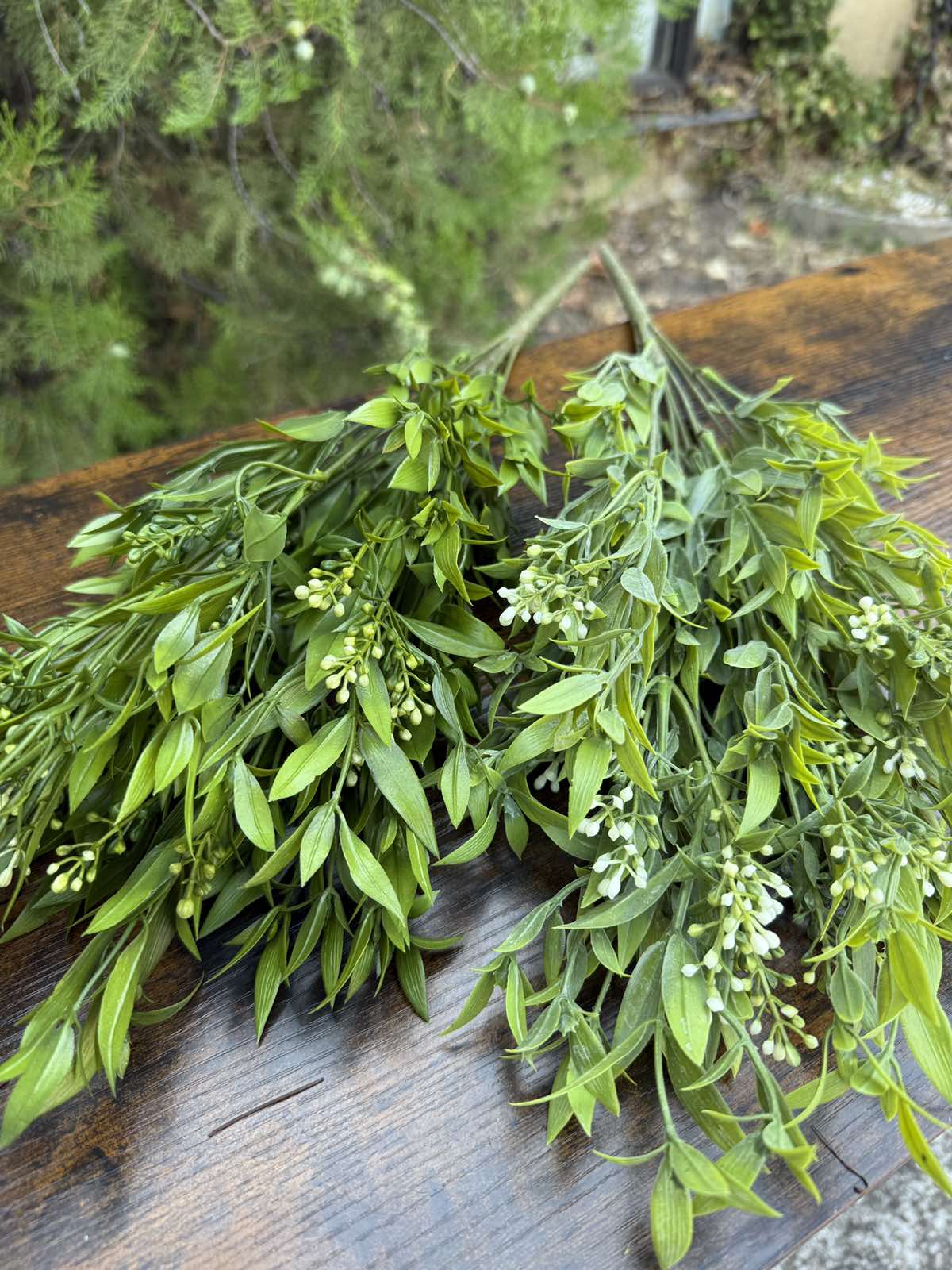 Зеленина с бели пъпки