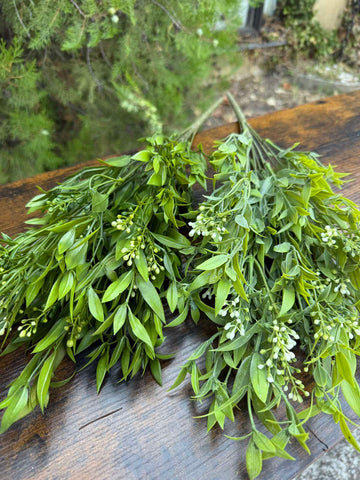 Зеленина с бели пъпки