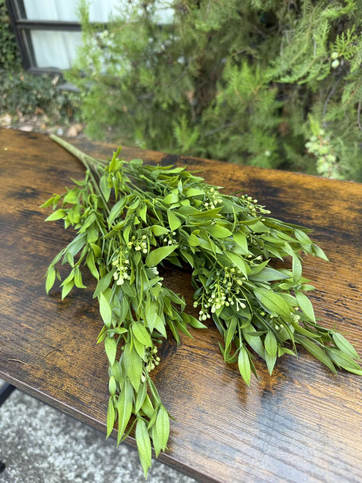 Зеленина с бели пъпки