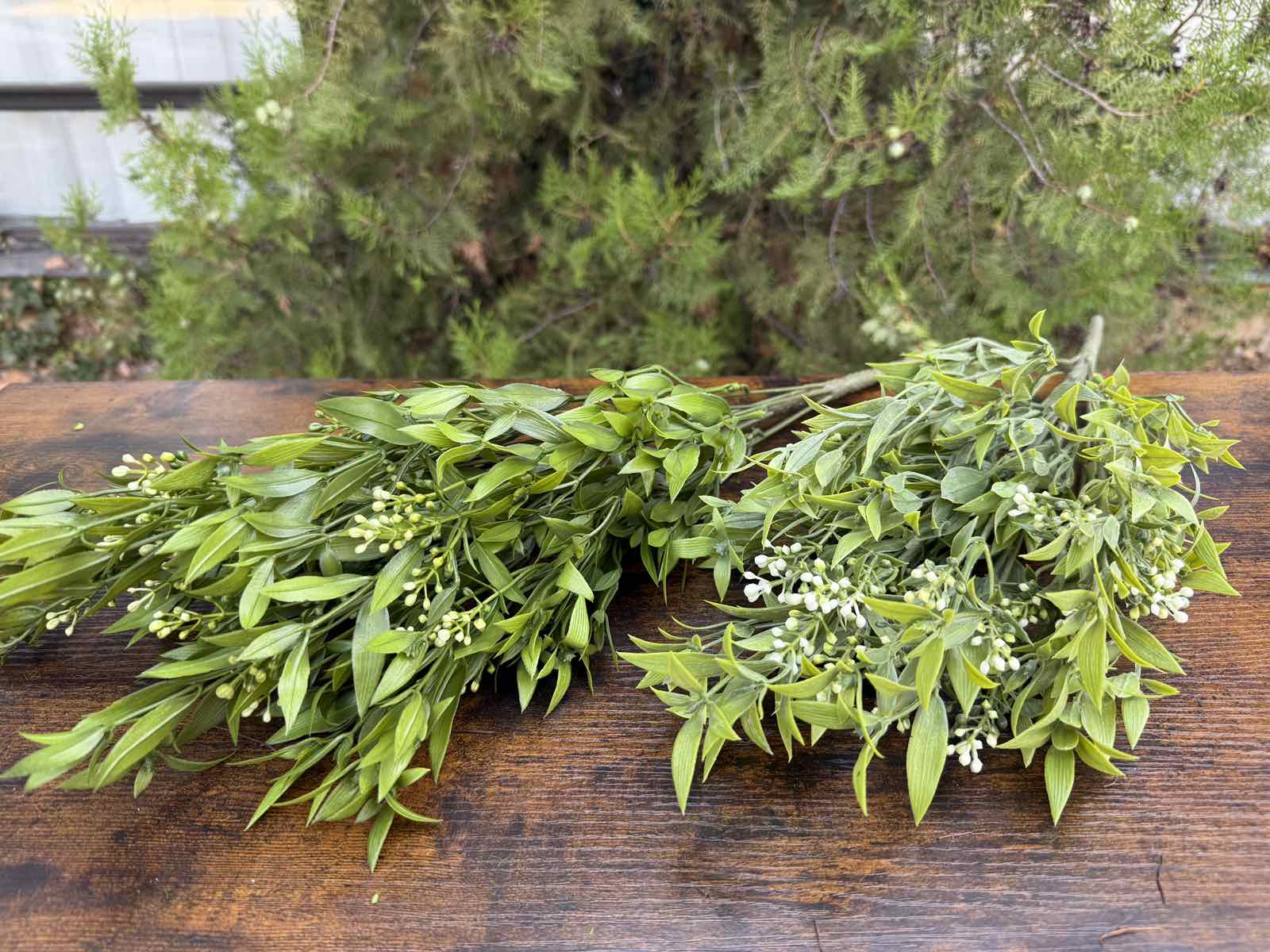 Зеленина с бели пъпки