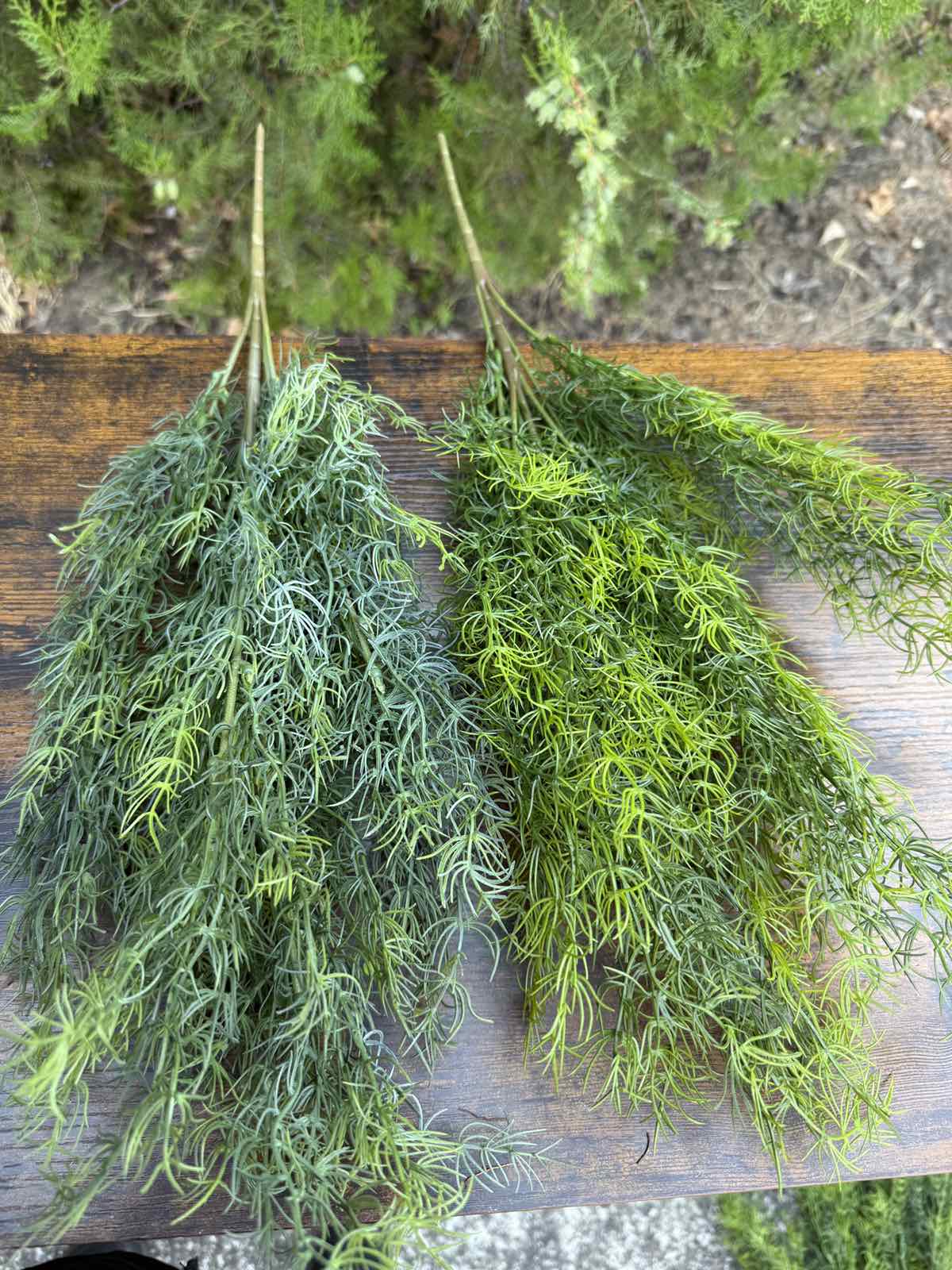 Зеленина копър