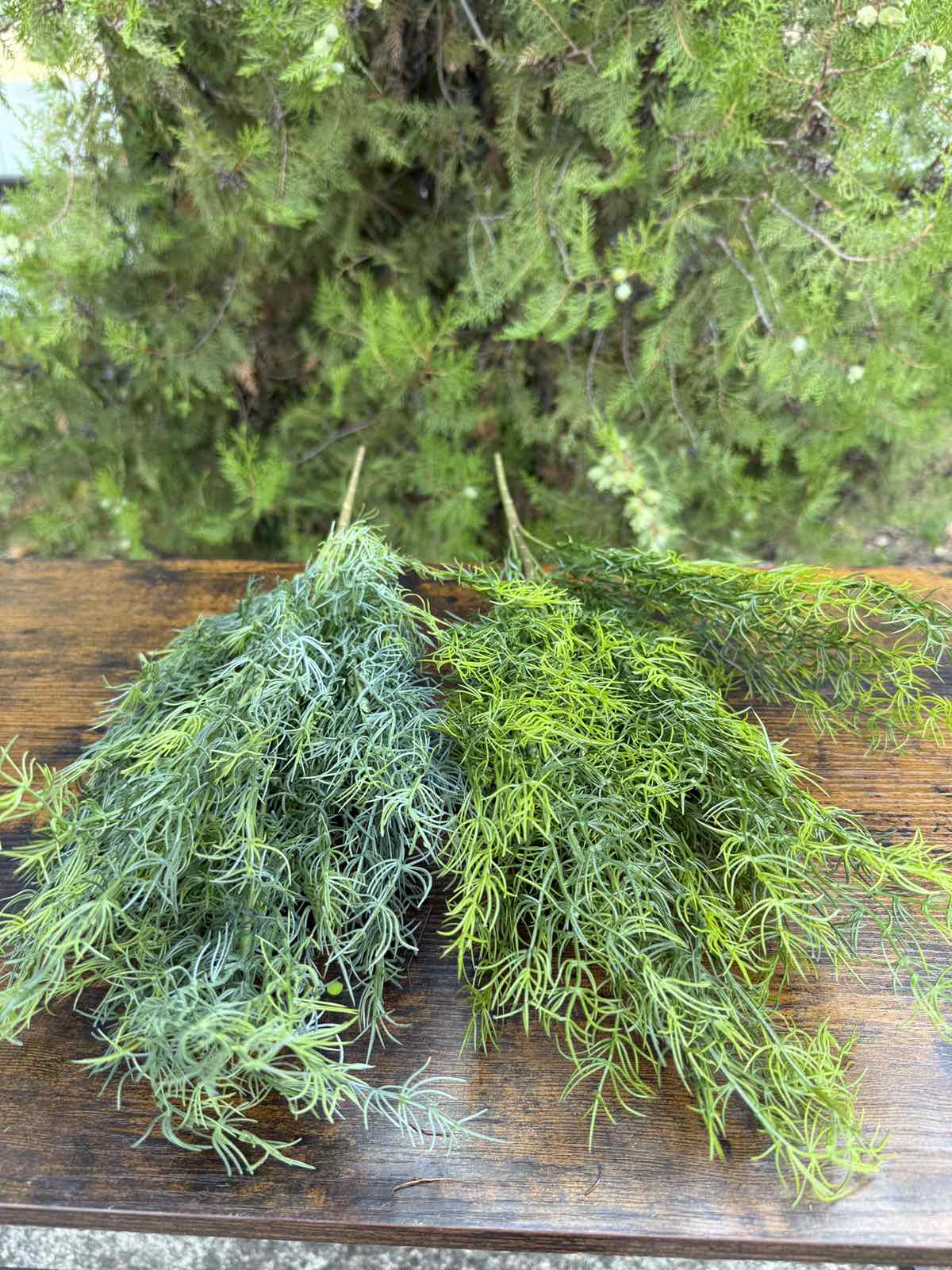 Зеленина копър