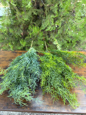 Зеленина копър