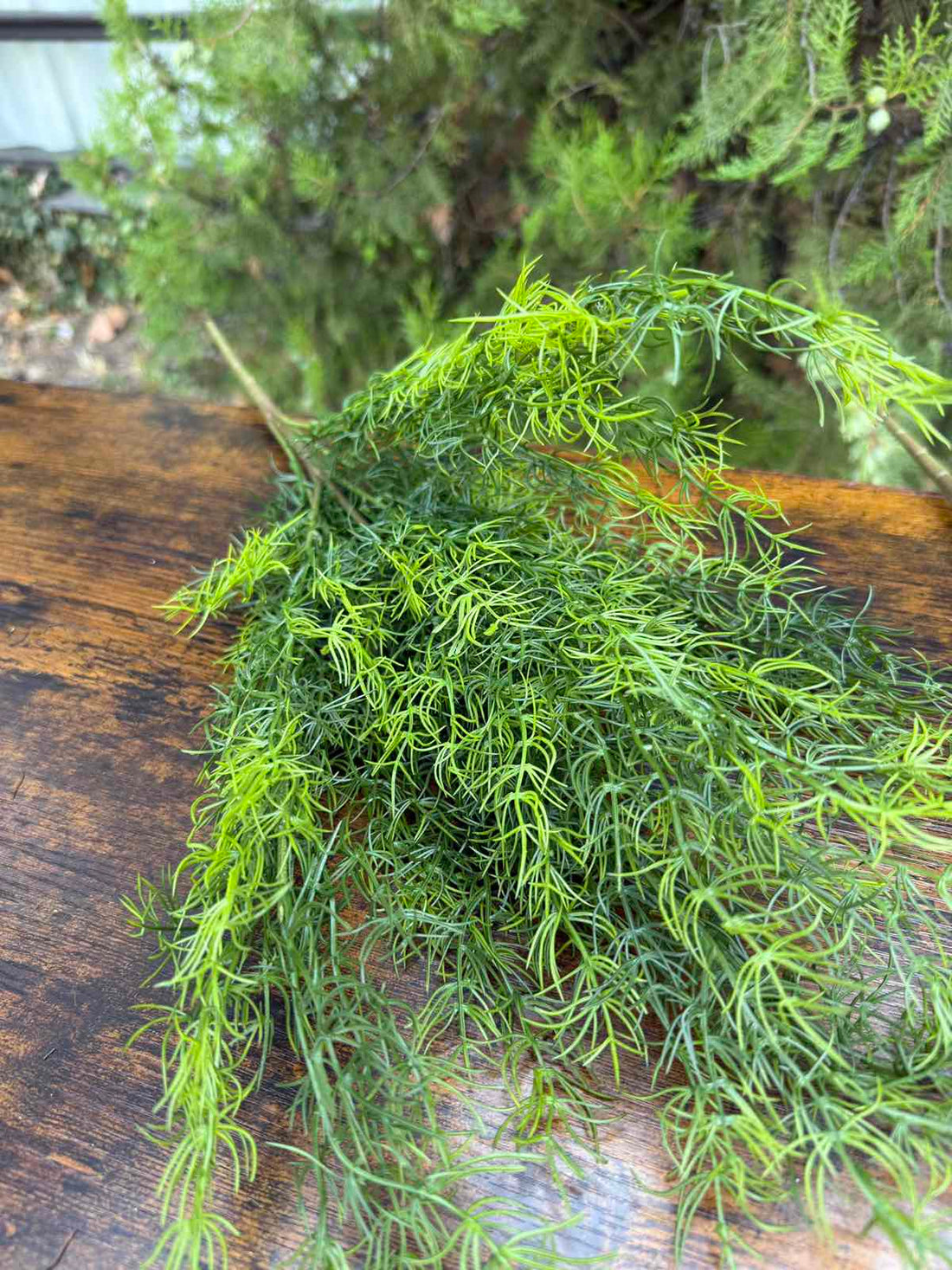 Зеленина копър