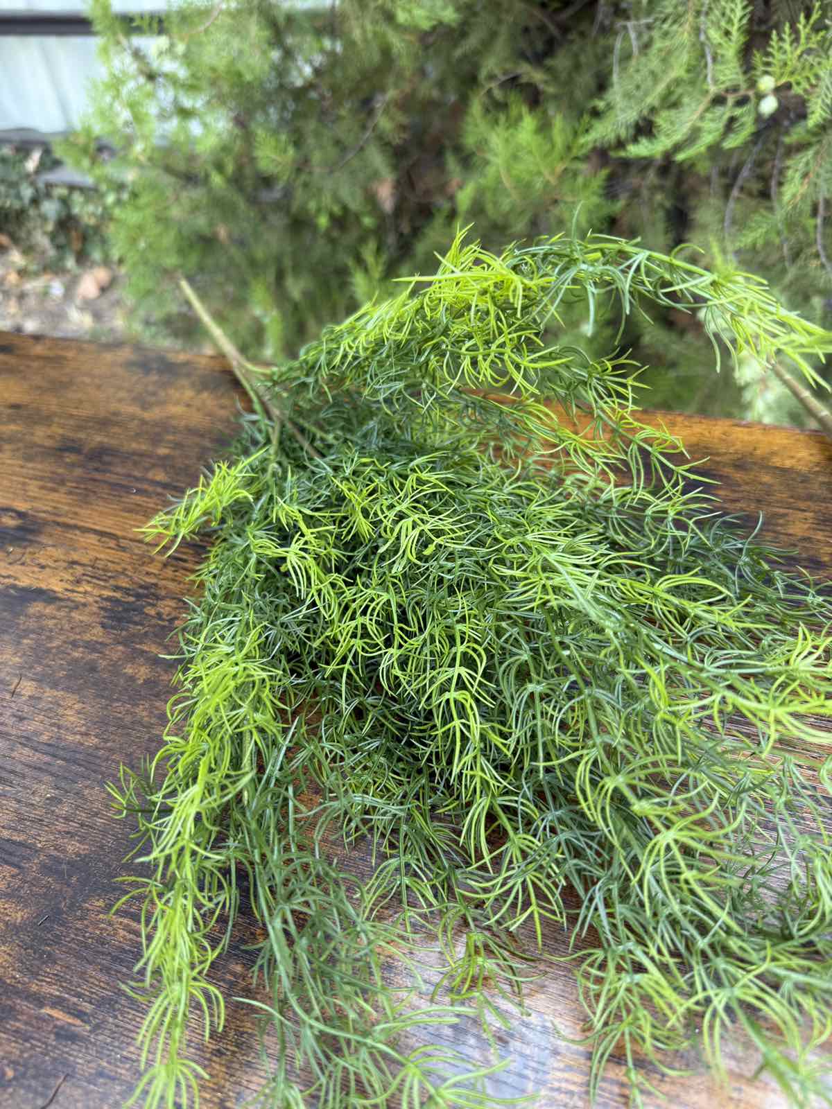 Зеленина копър