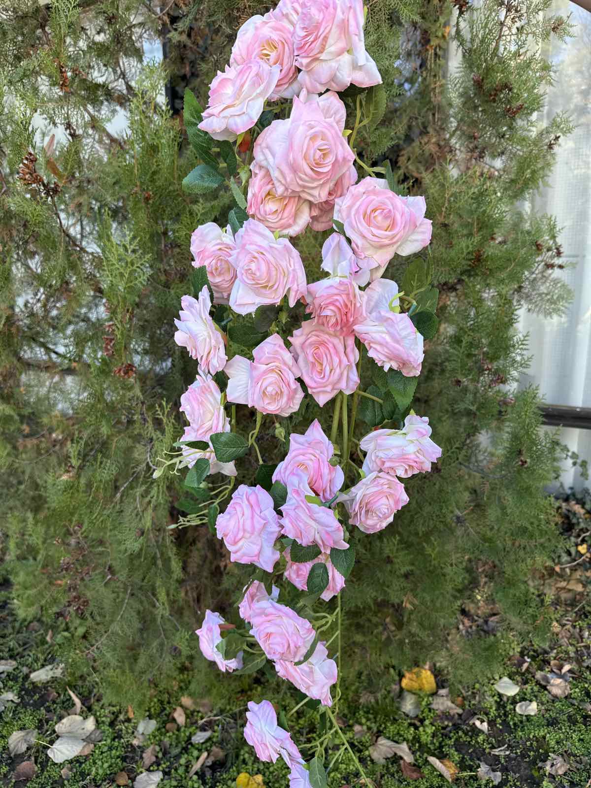 Богата каскадна роза