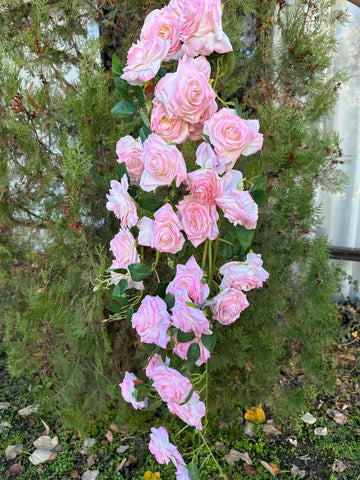 Богата каскадна роза