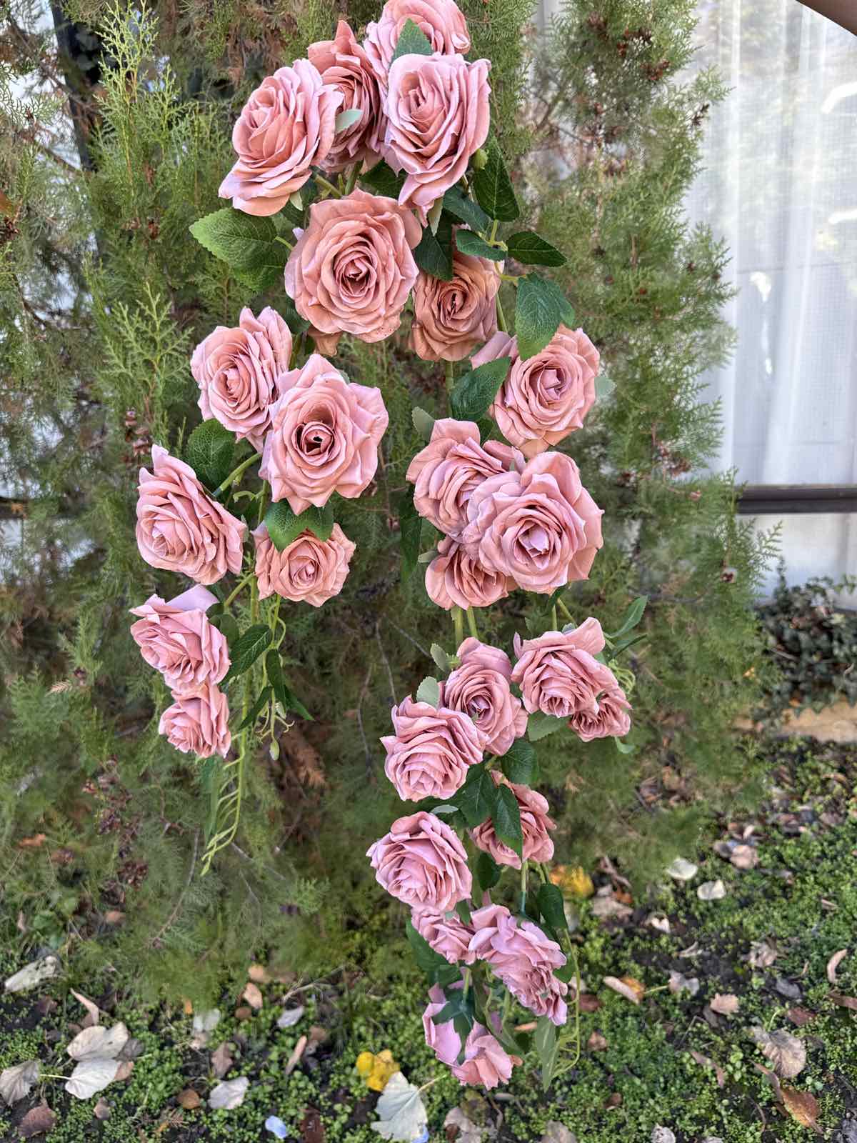 Богата каскадна роза