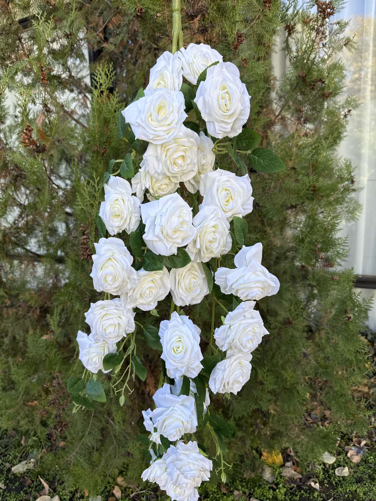 Богата каскадна роза