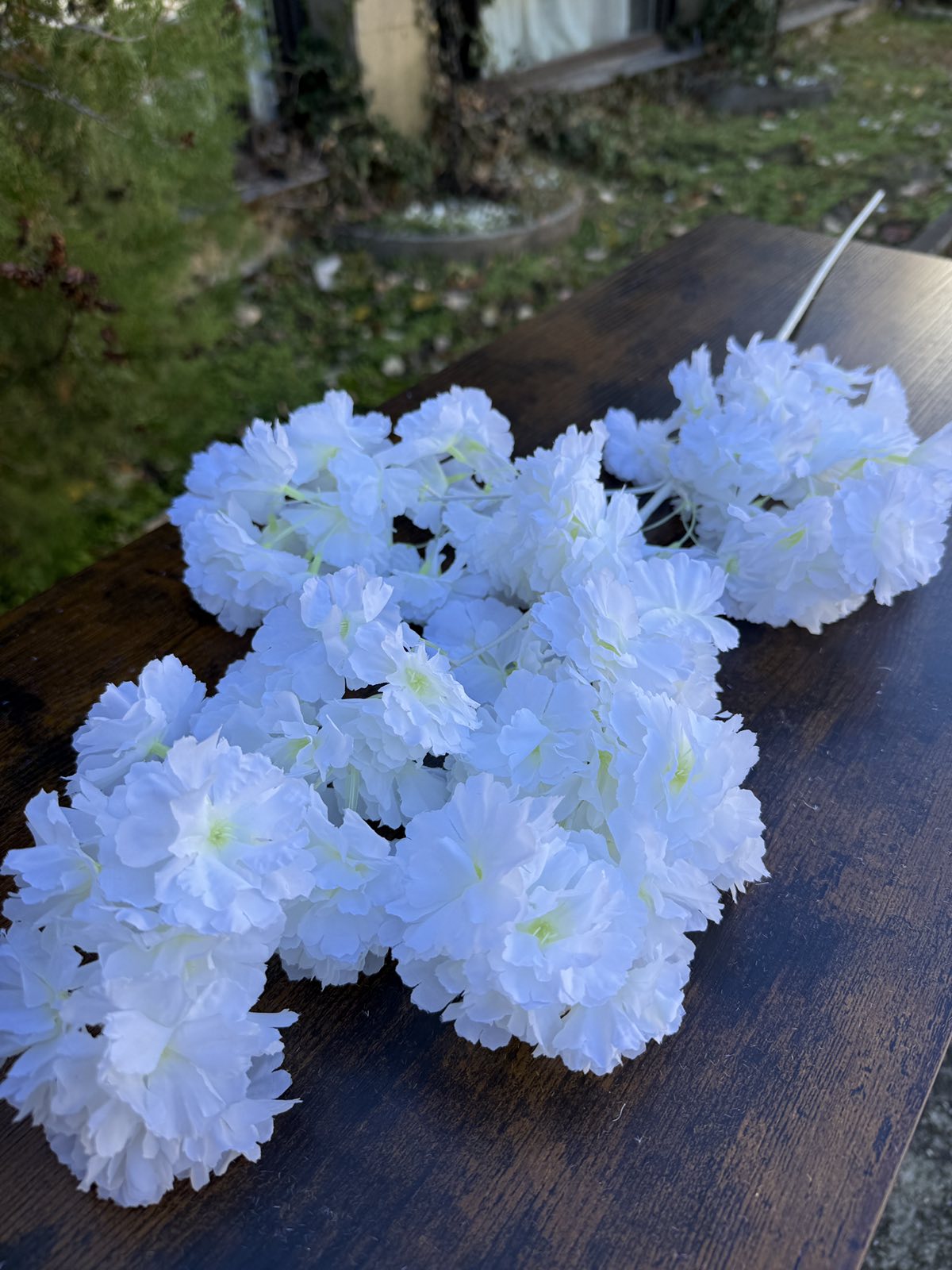 Черешов цвят