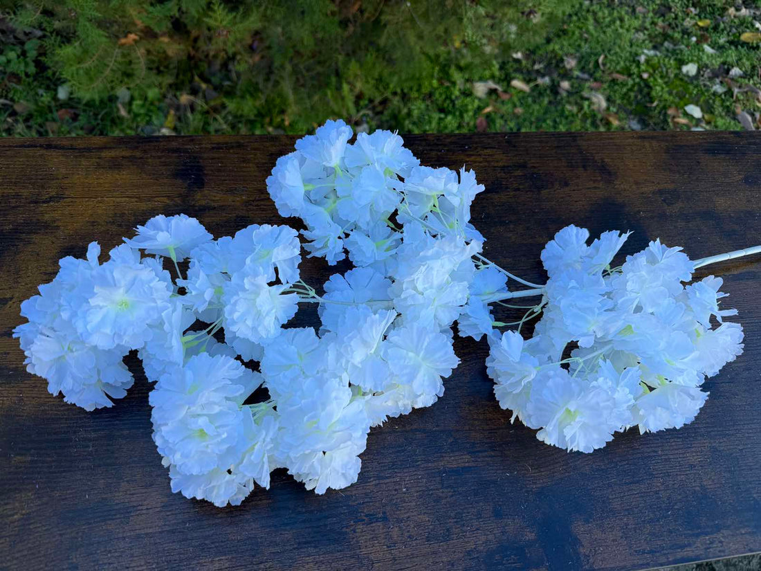 Черешов цвят