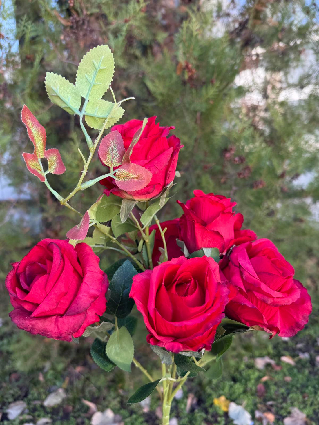 Затворена роза