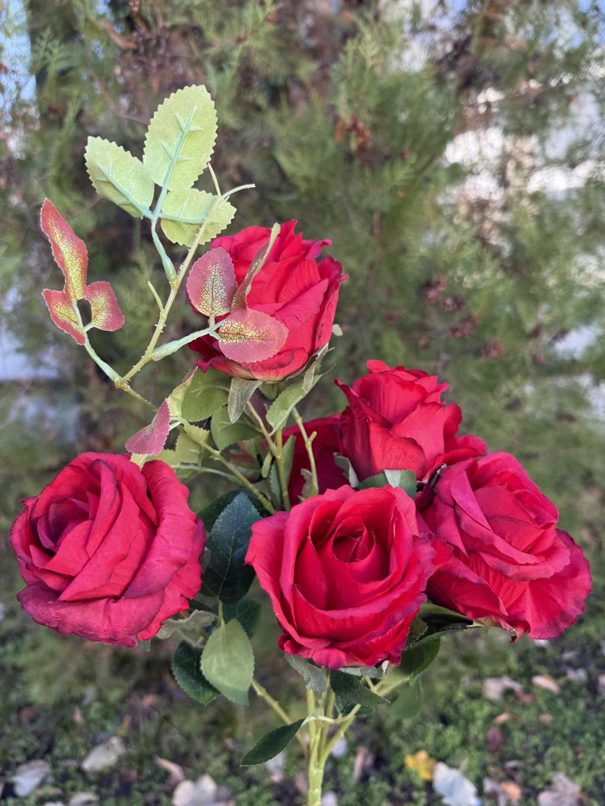 Затворена роза