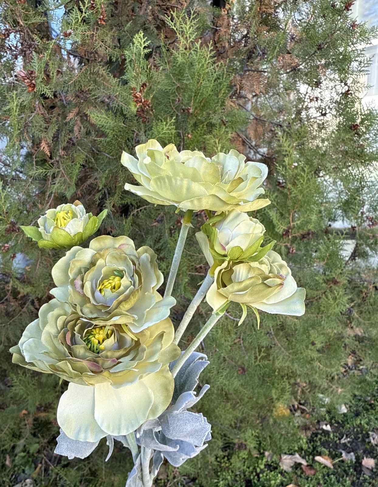 Полски цветя