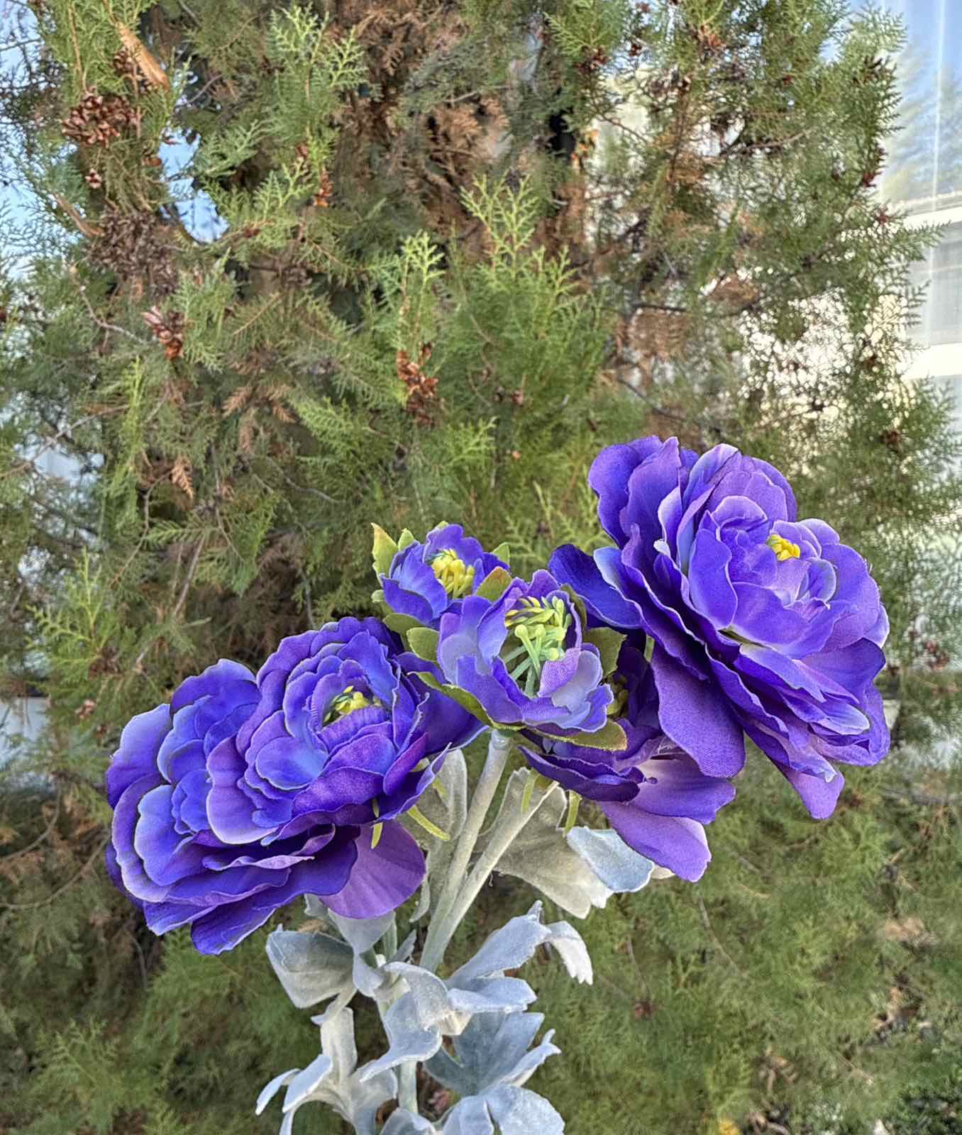 Полски цветя