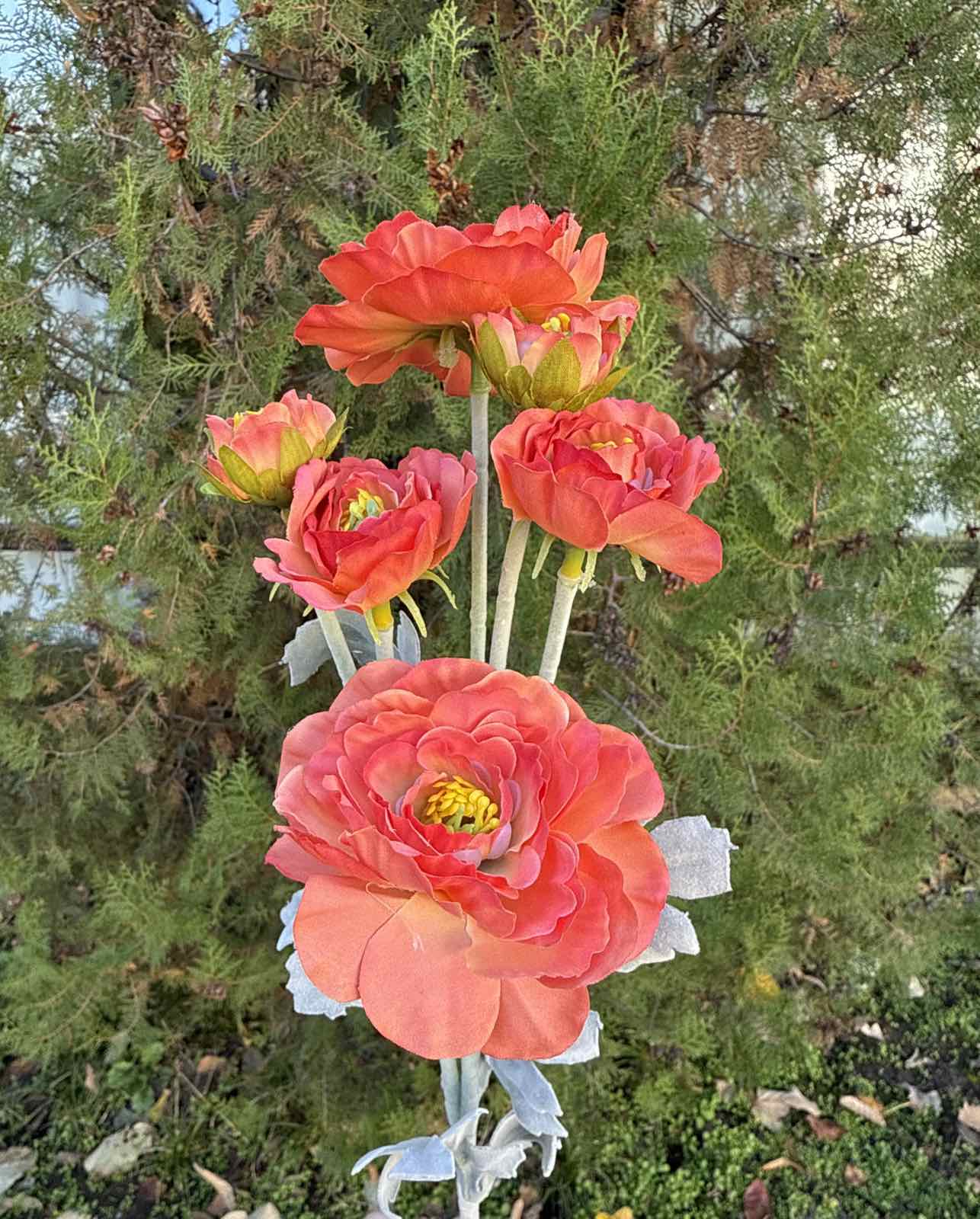 Полски цветя