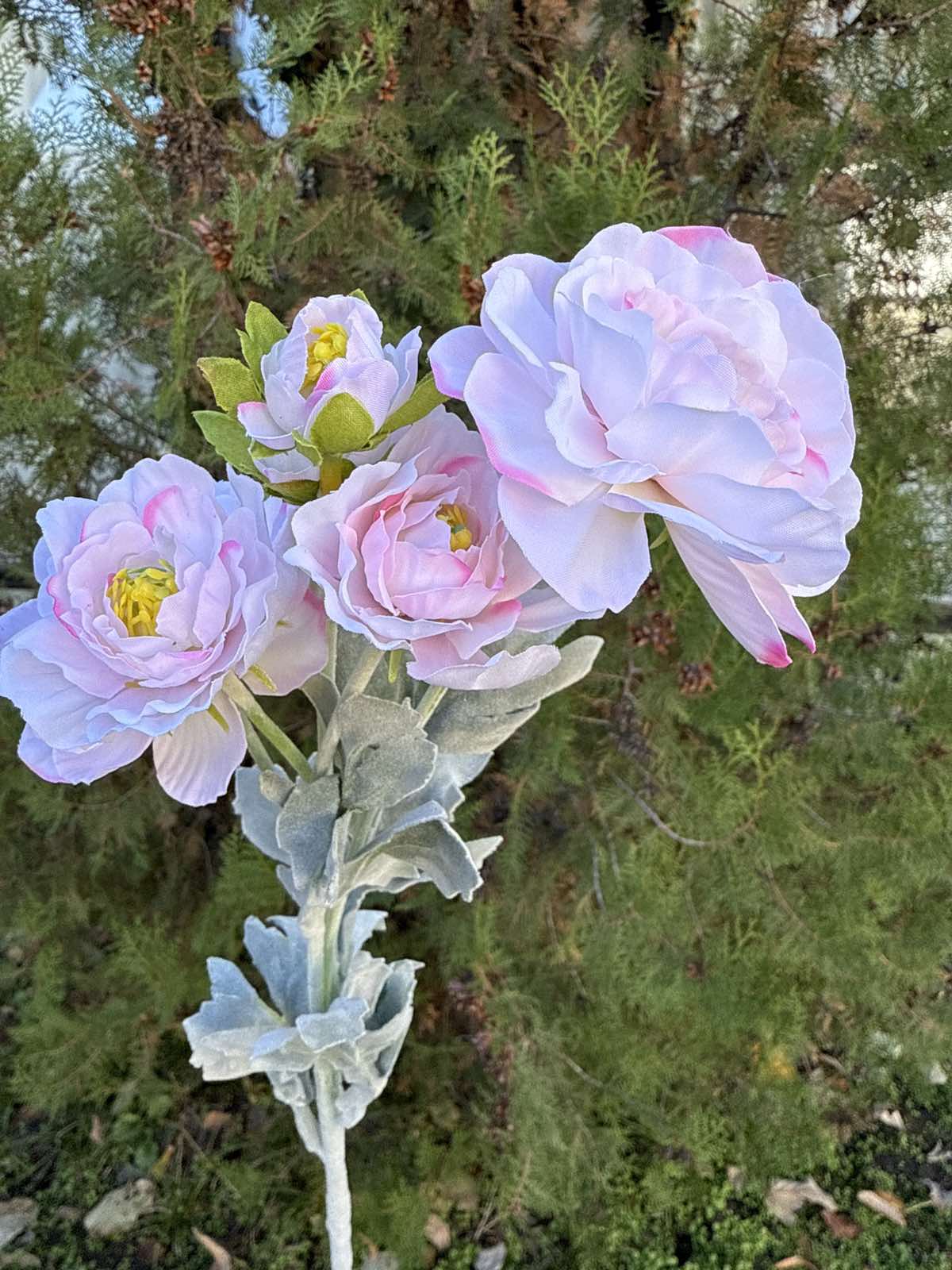 Полски цветя