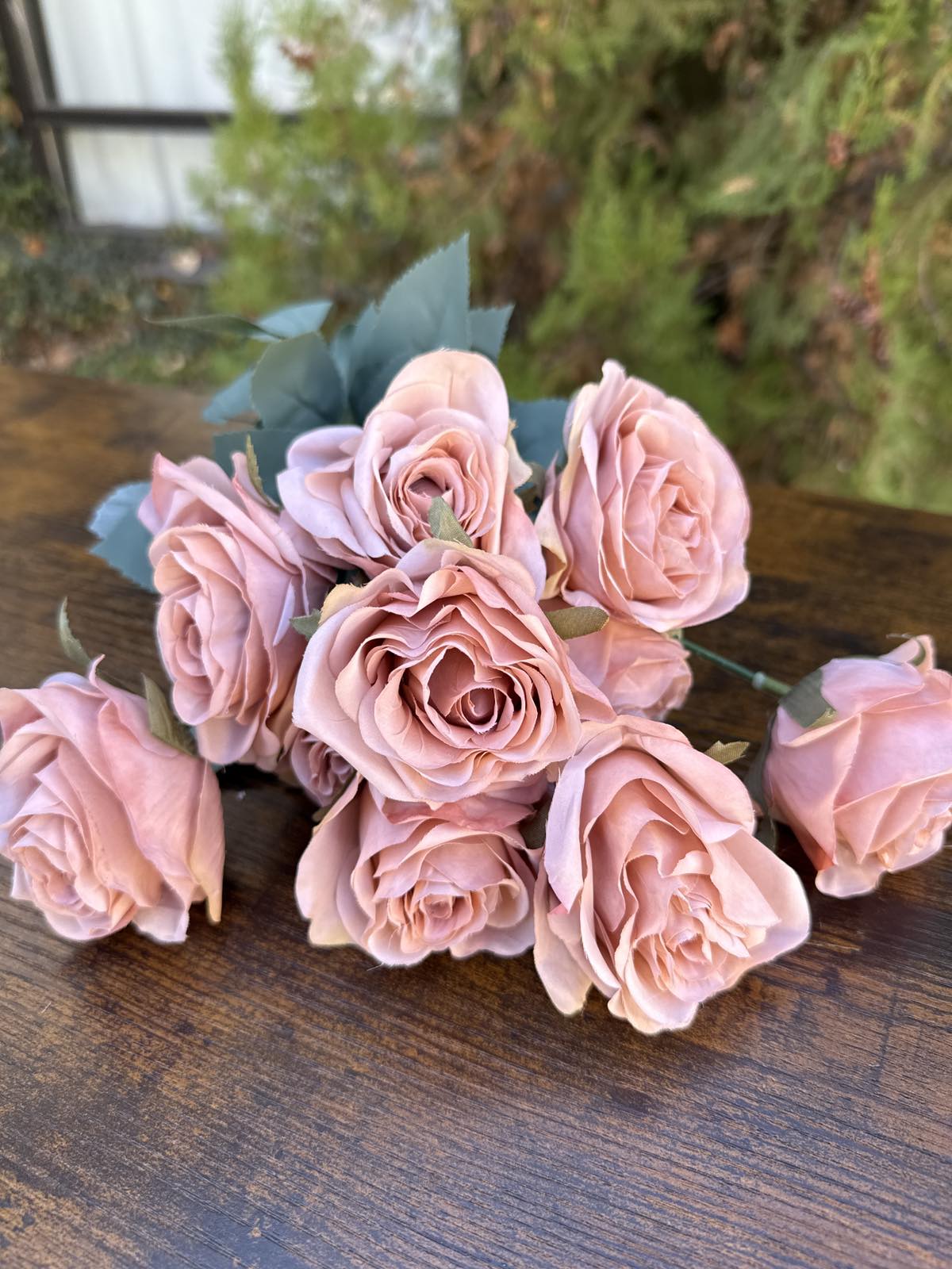 Роза 10 глави кафе