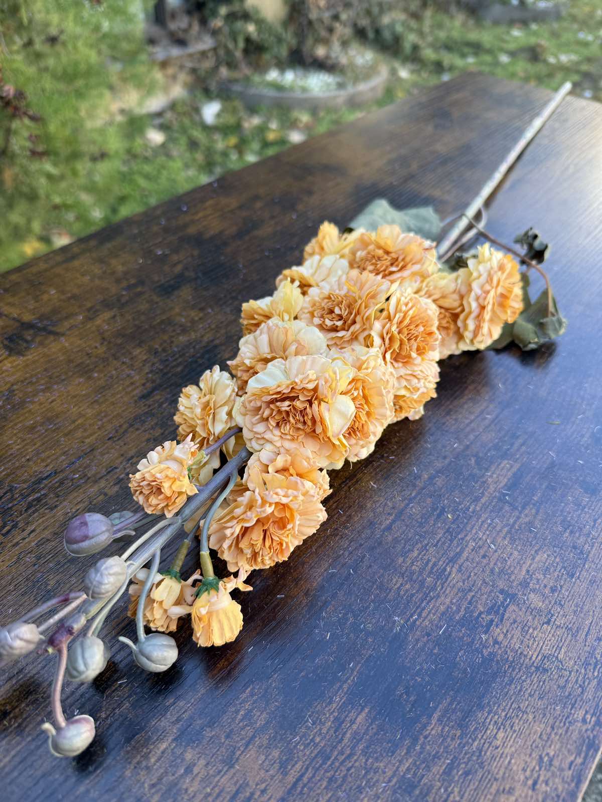 Клонка хризантема цвят