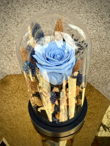 Вечна роза под стъклен похлупак