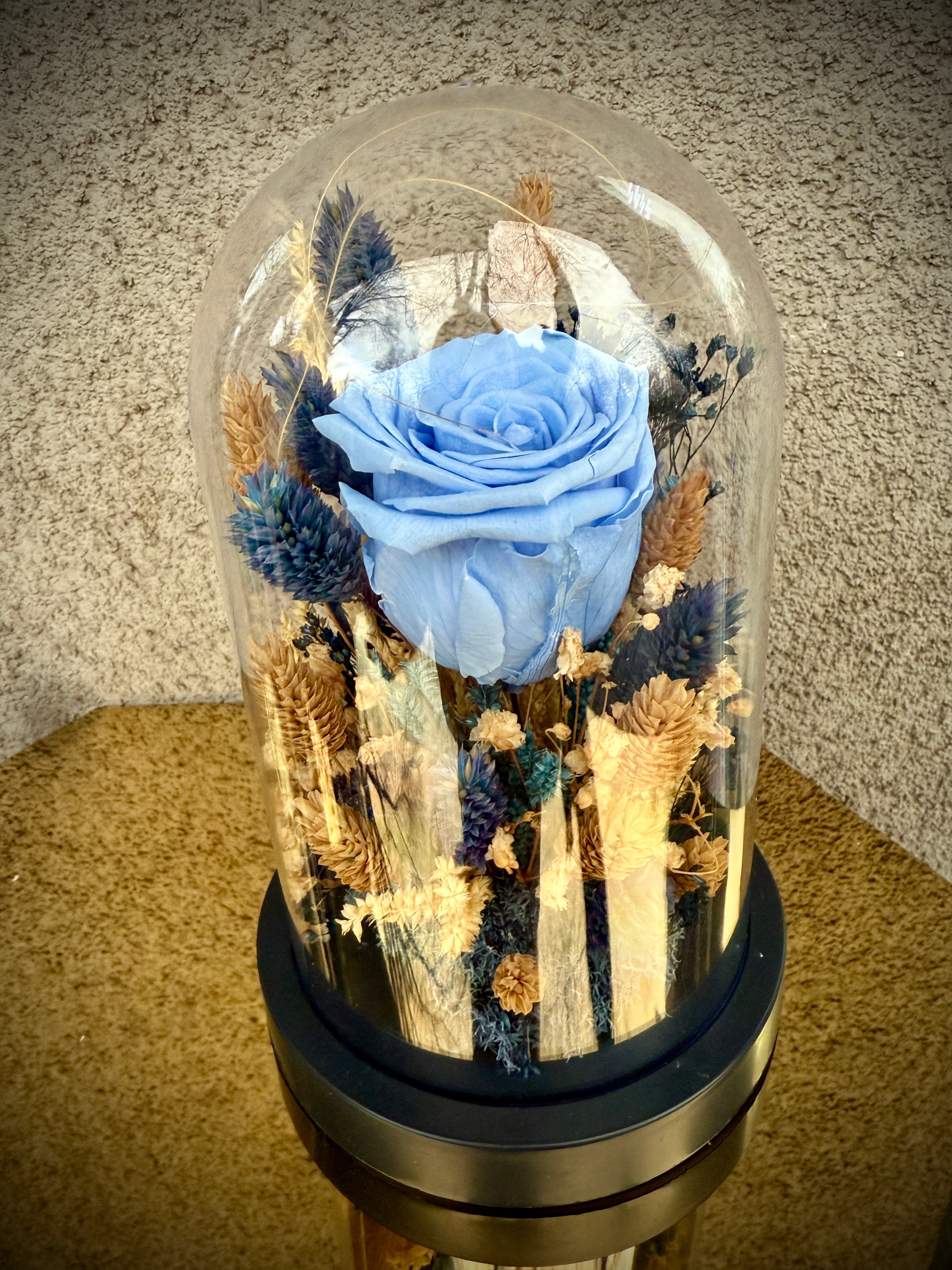 Вечна роза под стъклен похлупак