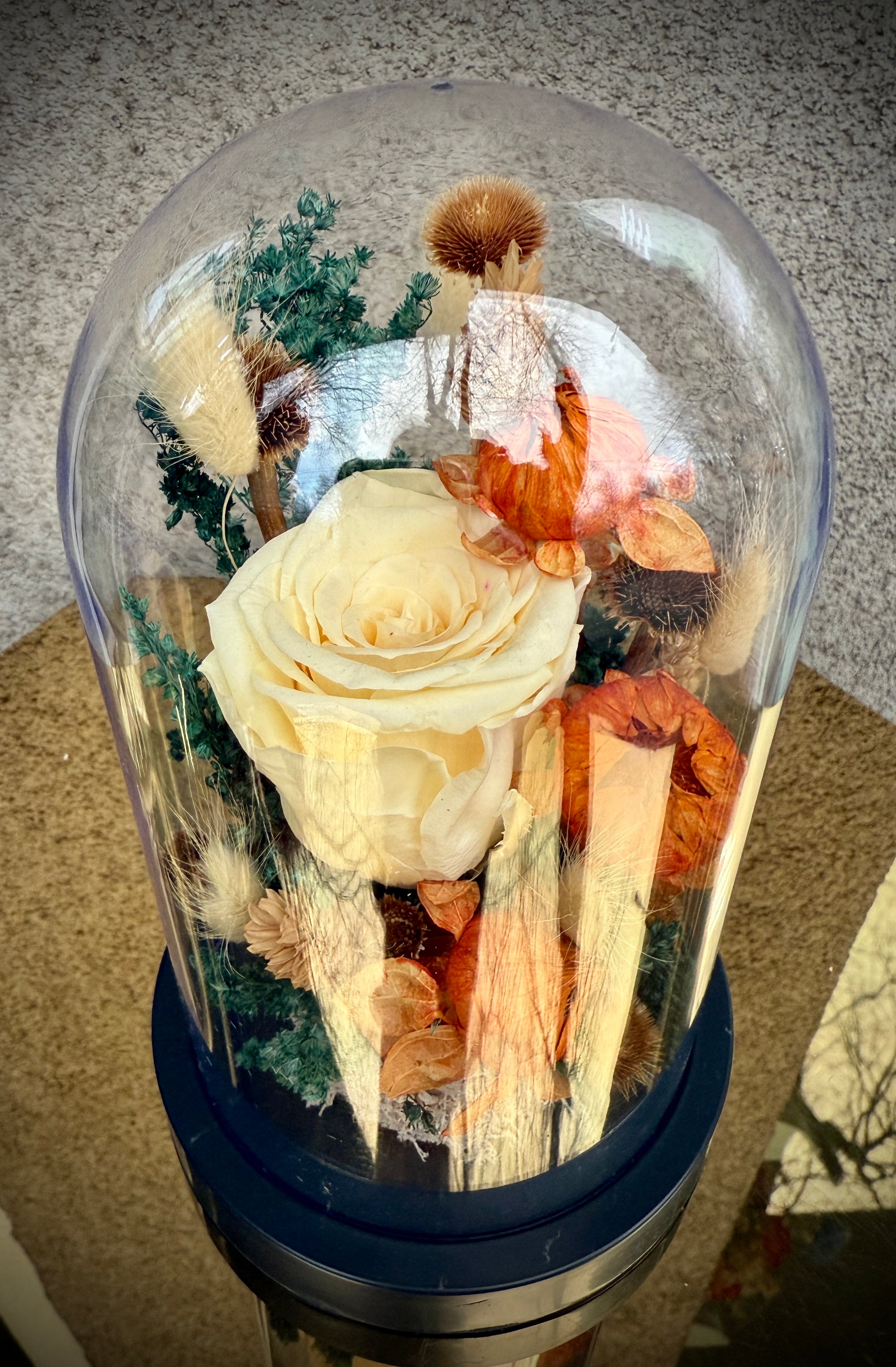 Вечна роза под стъклен похлупак