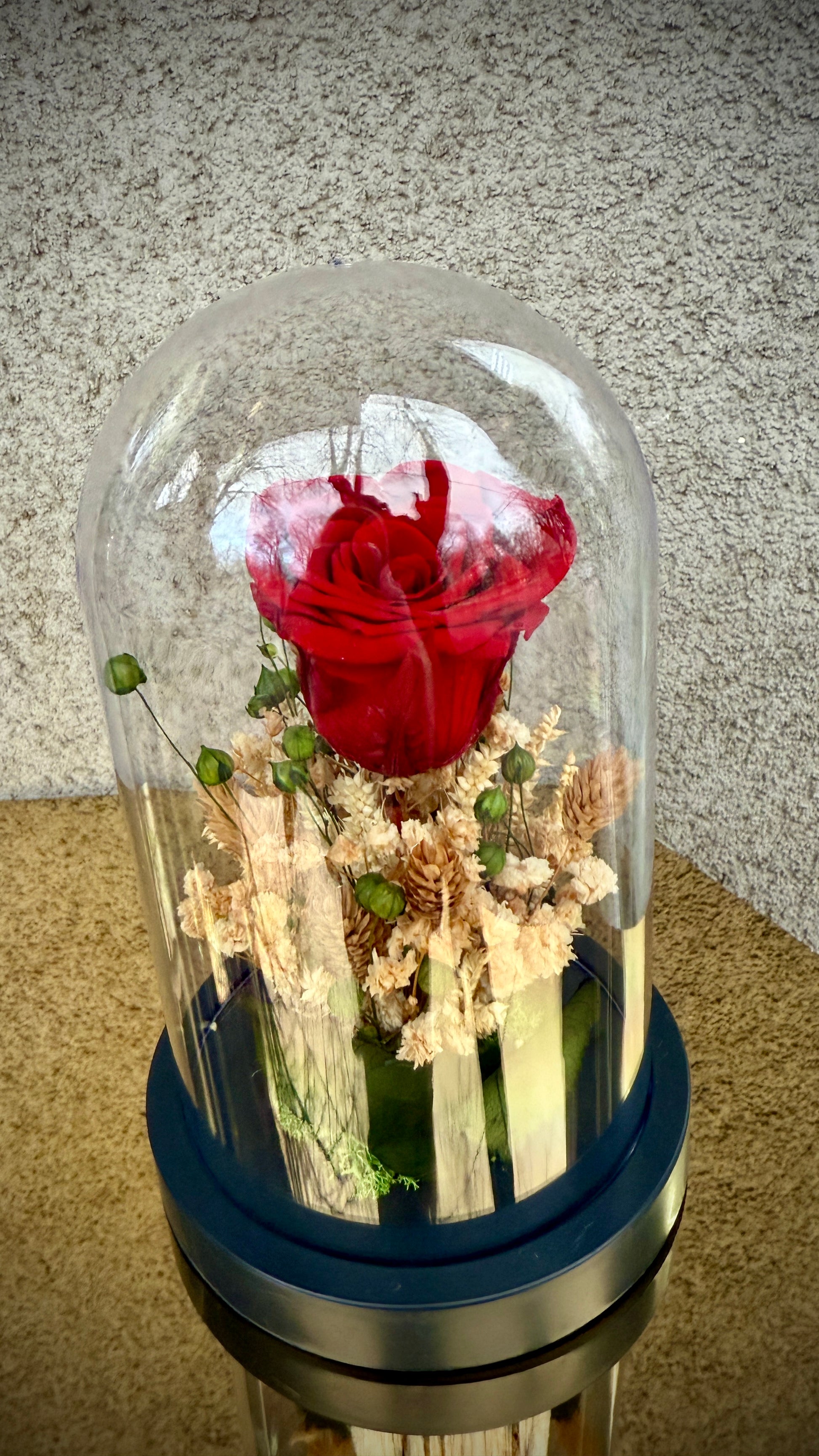 Вечна роза под стъклен похлупак