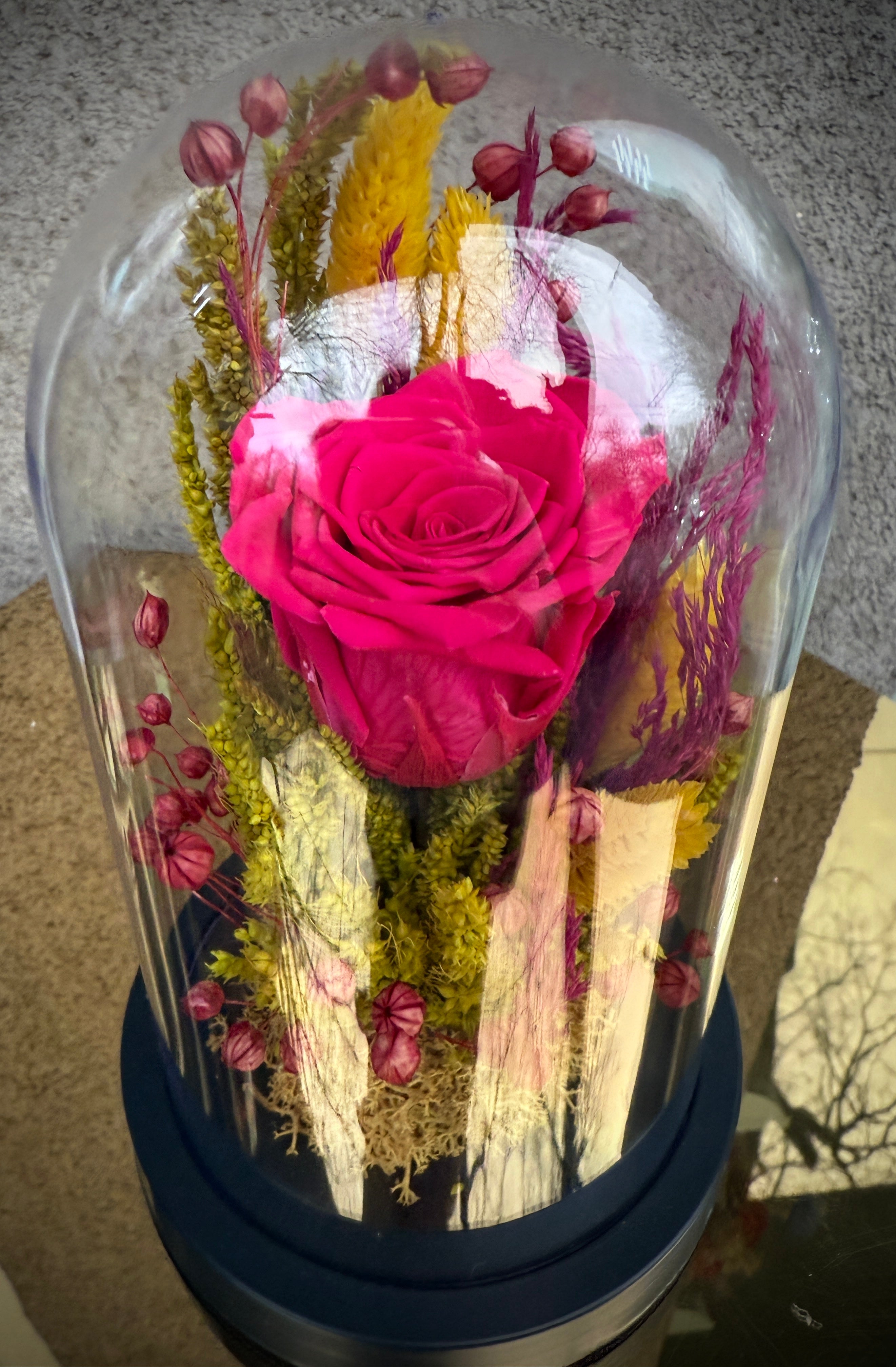 Вечна роза под стъклен похлупак