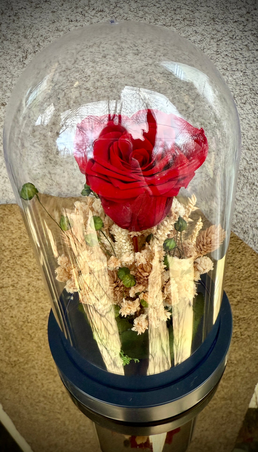 Вечна роза под стъклен похлупак