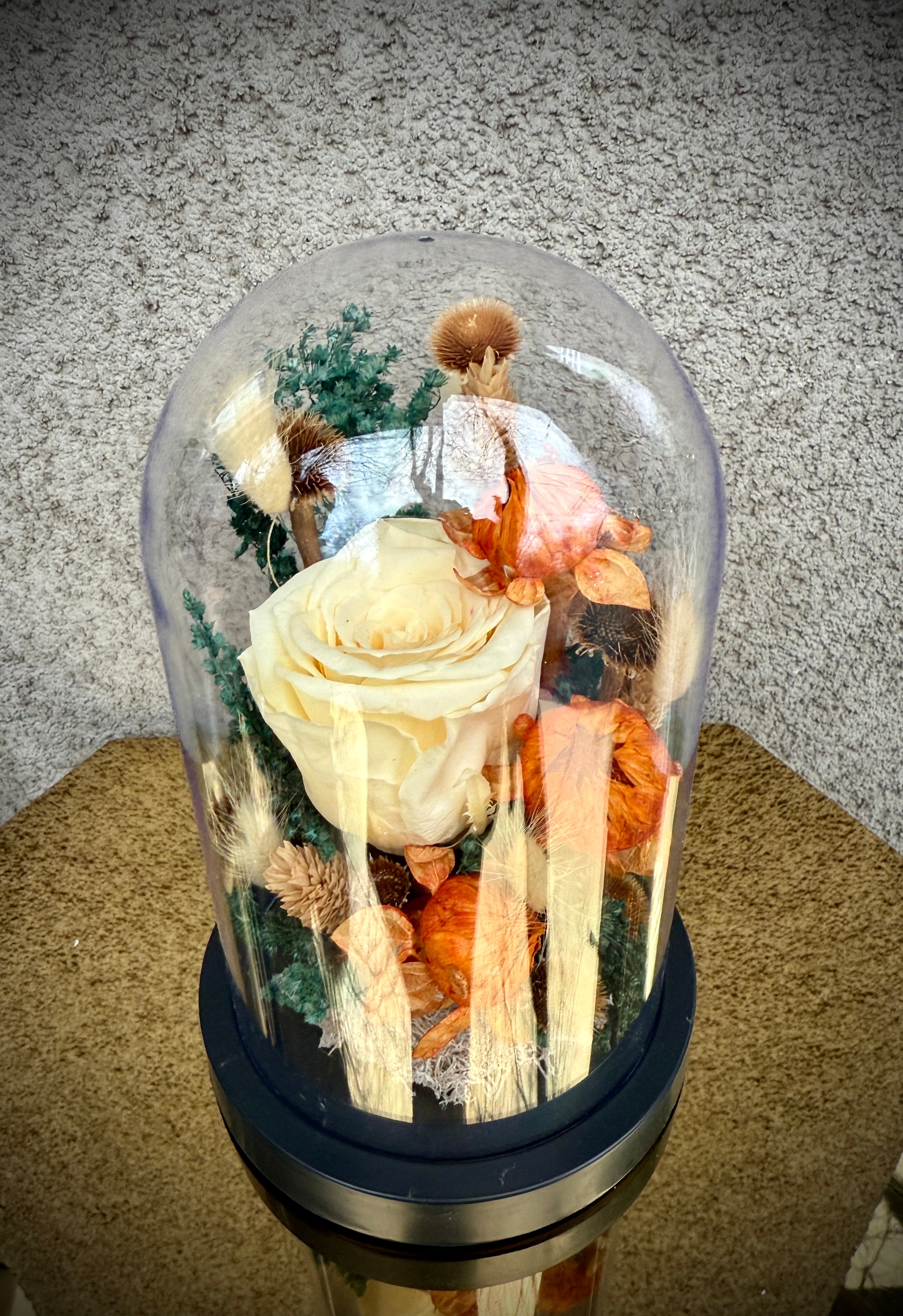 Вечна роза под стъклен похлупак