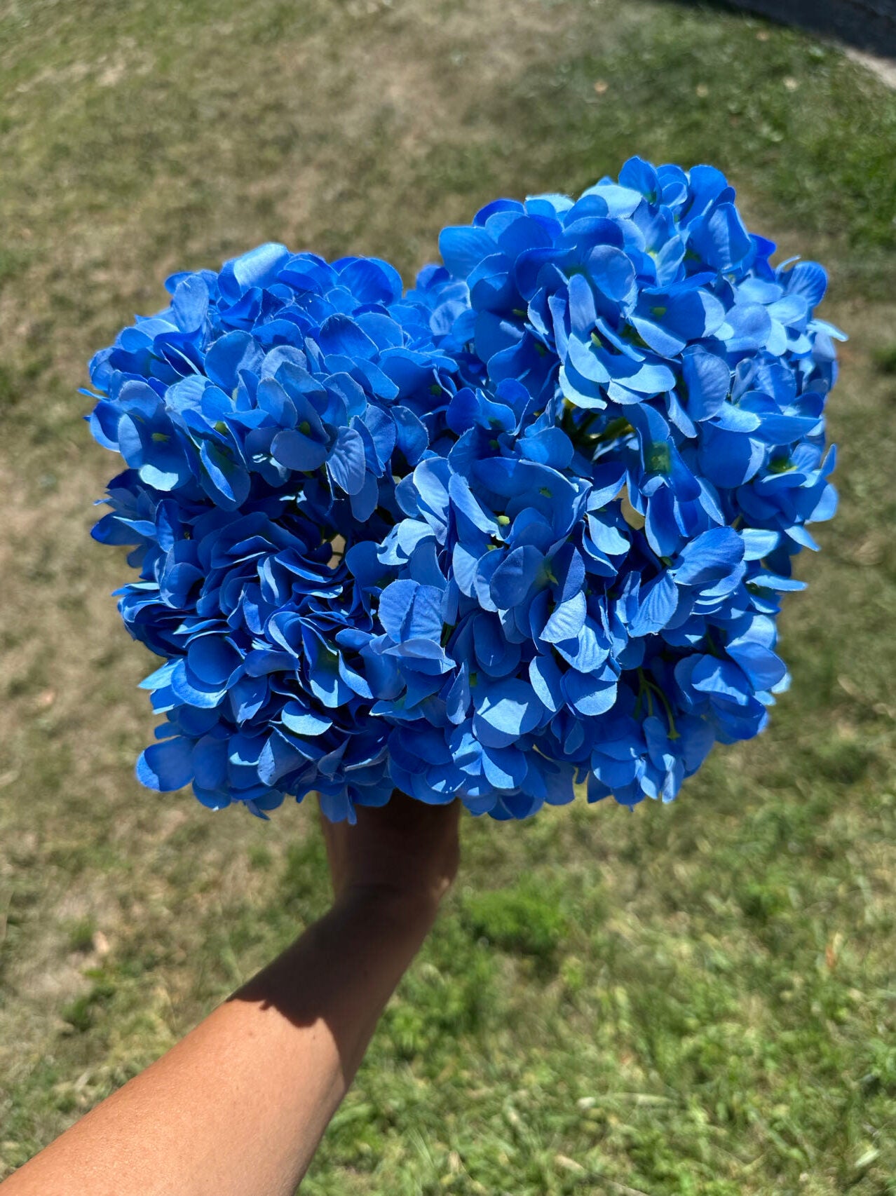 Букет ярка хортензия синя