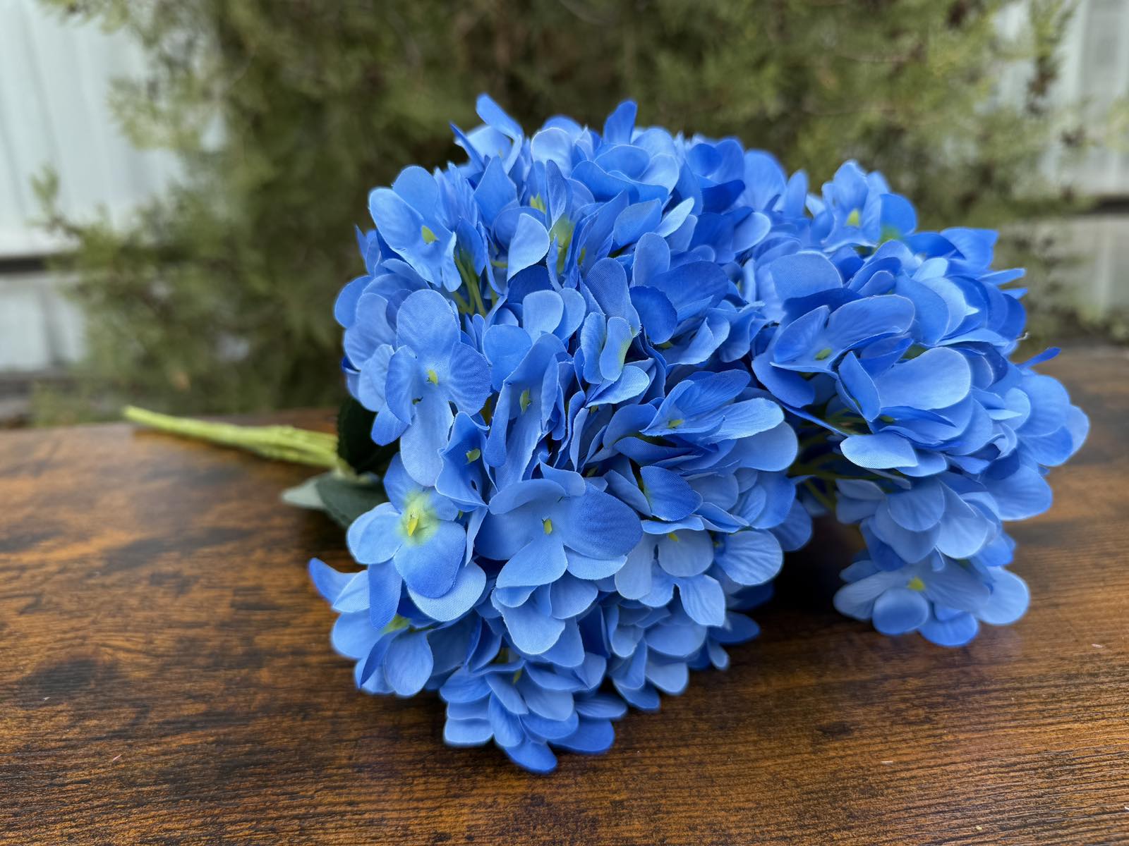 Букет ярка хортензия синя