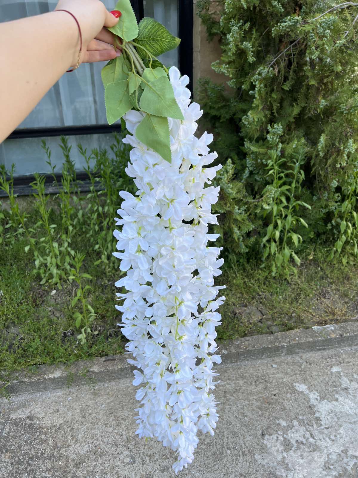 Акация цвят 30 см