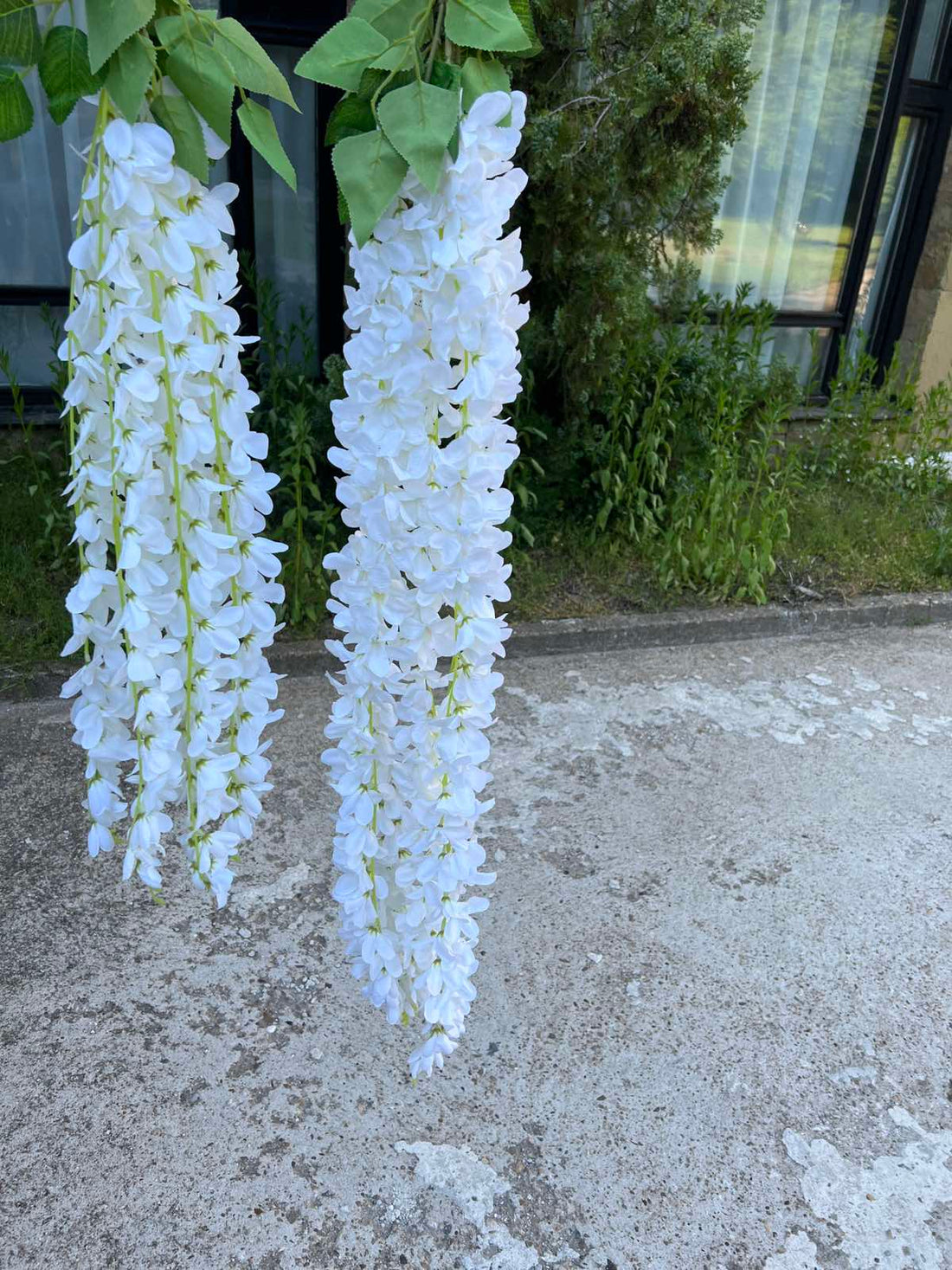 Акация цвят 60 см