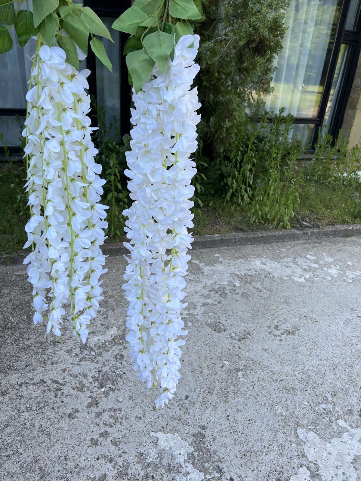 Акация цвят 60 см