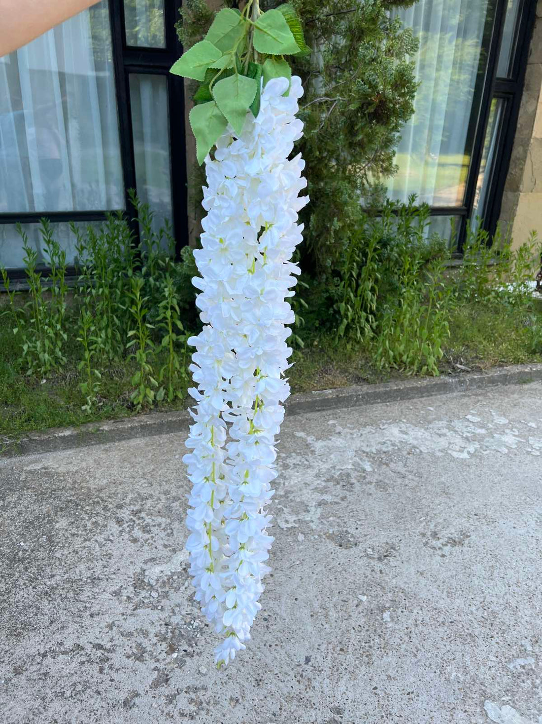 Акация цвят 90 см