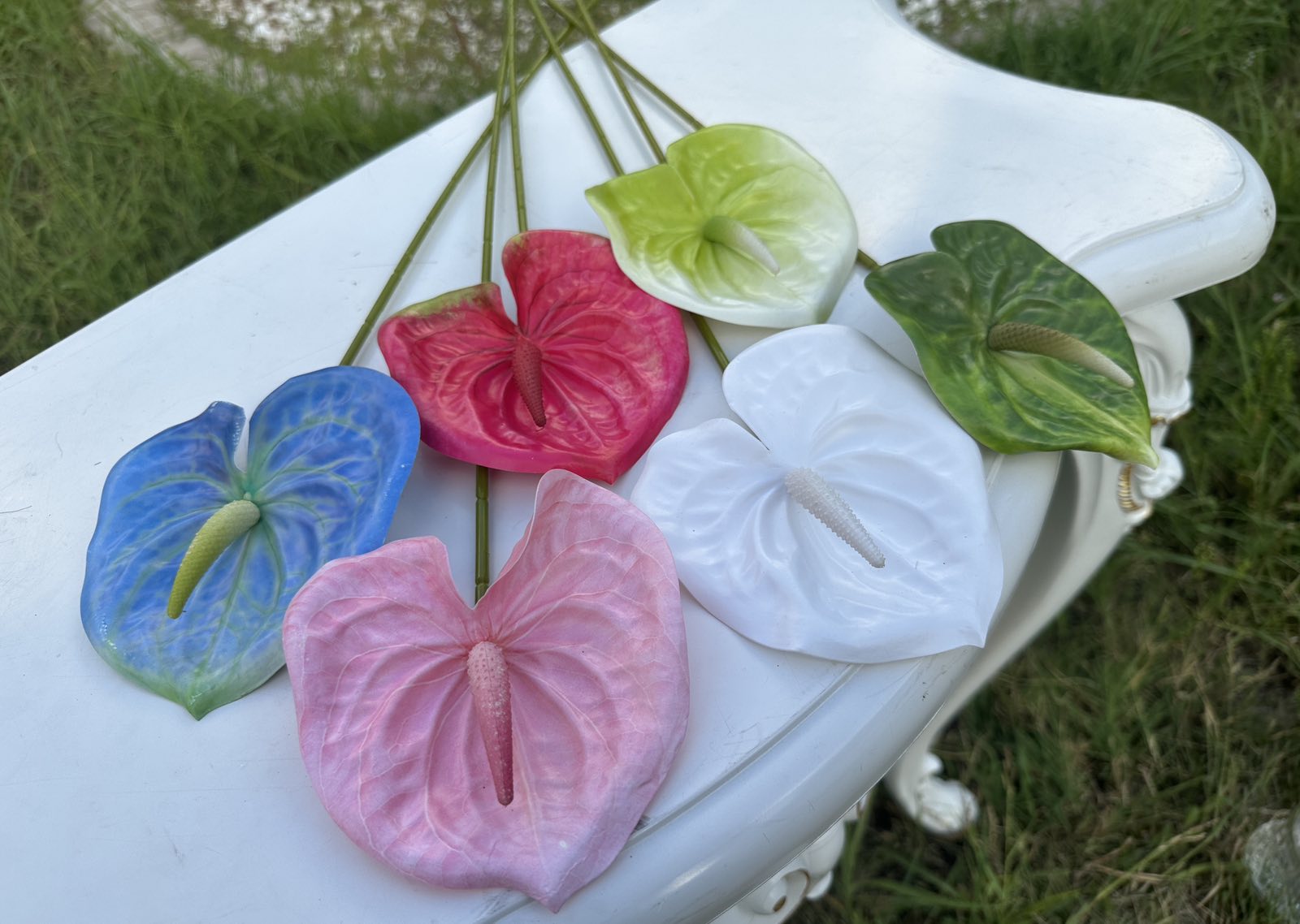 Декоративен антуриум