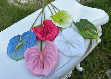 Декоративен антуриум