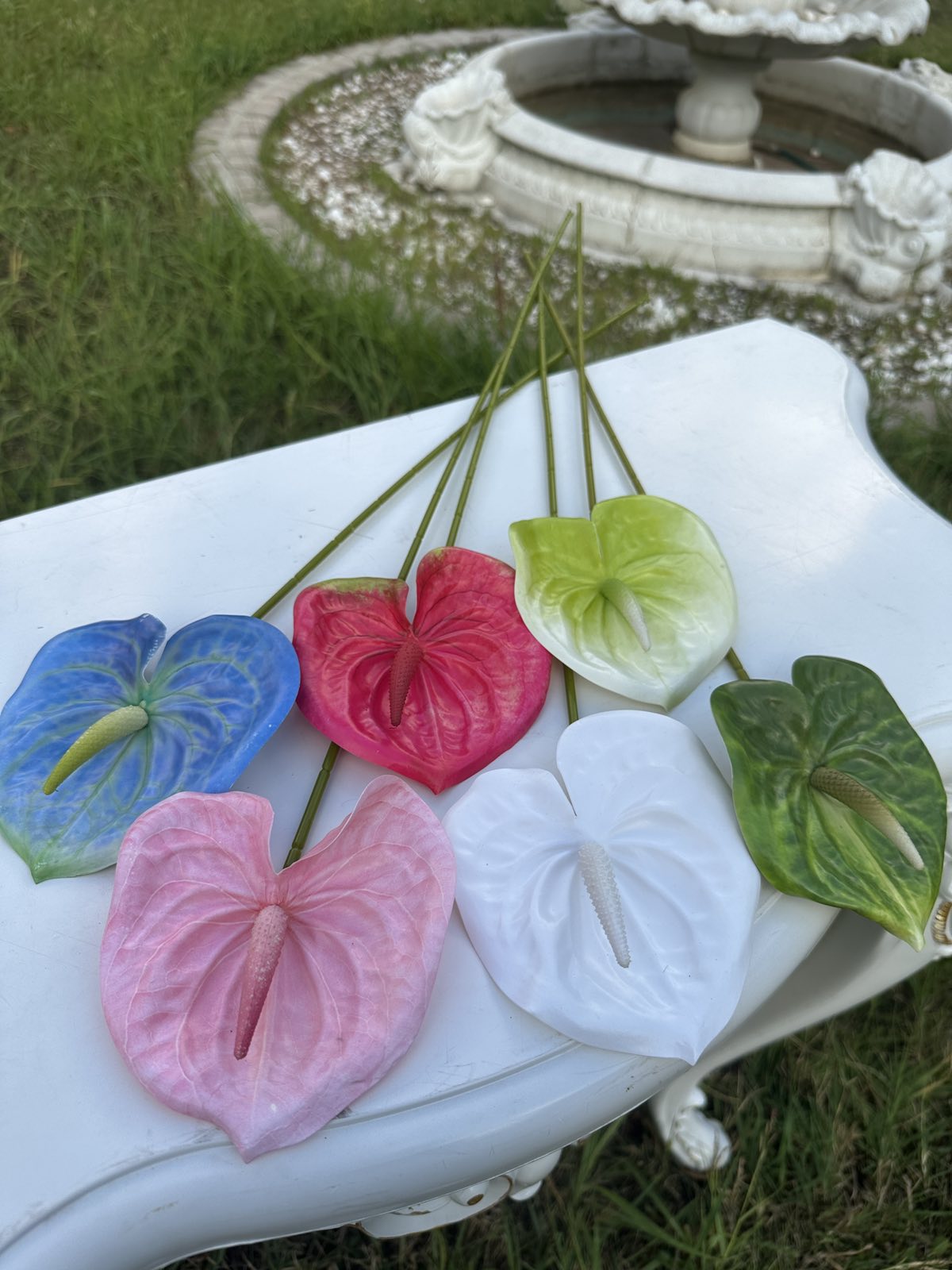 Декоративен антуриум