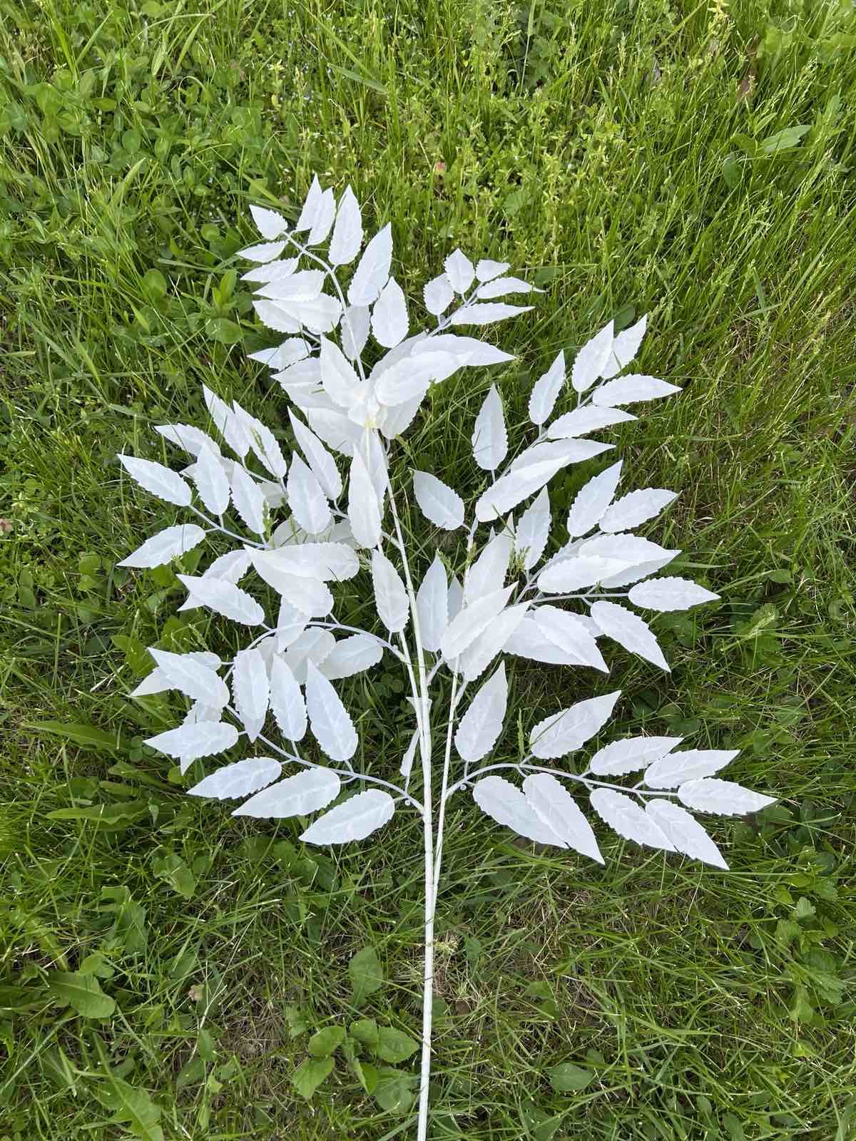 Бели листенца висящи