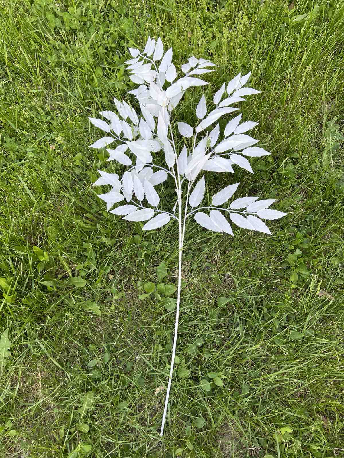 Бели листенца висящи