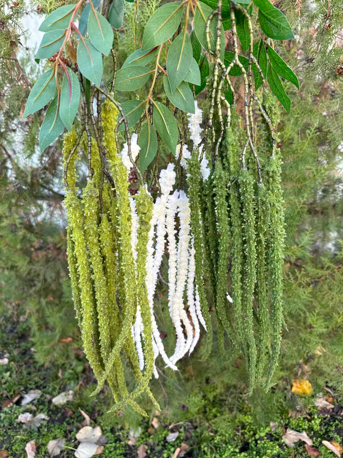 Висяща зеленина 2