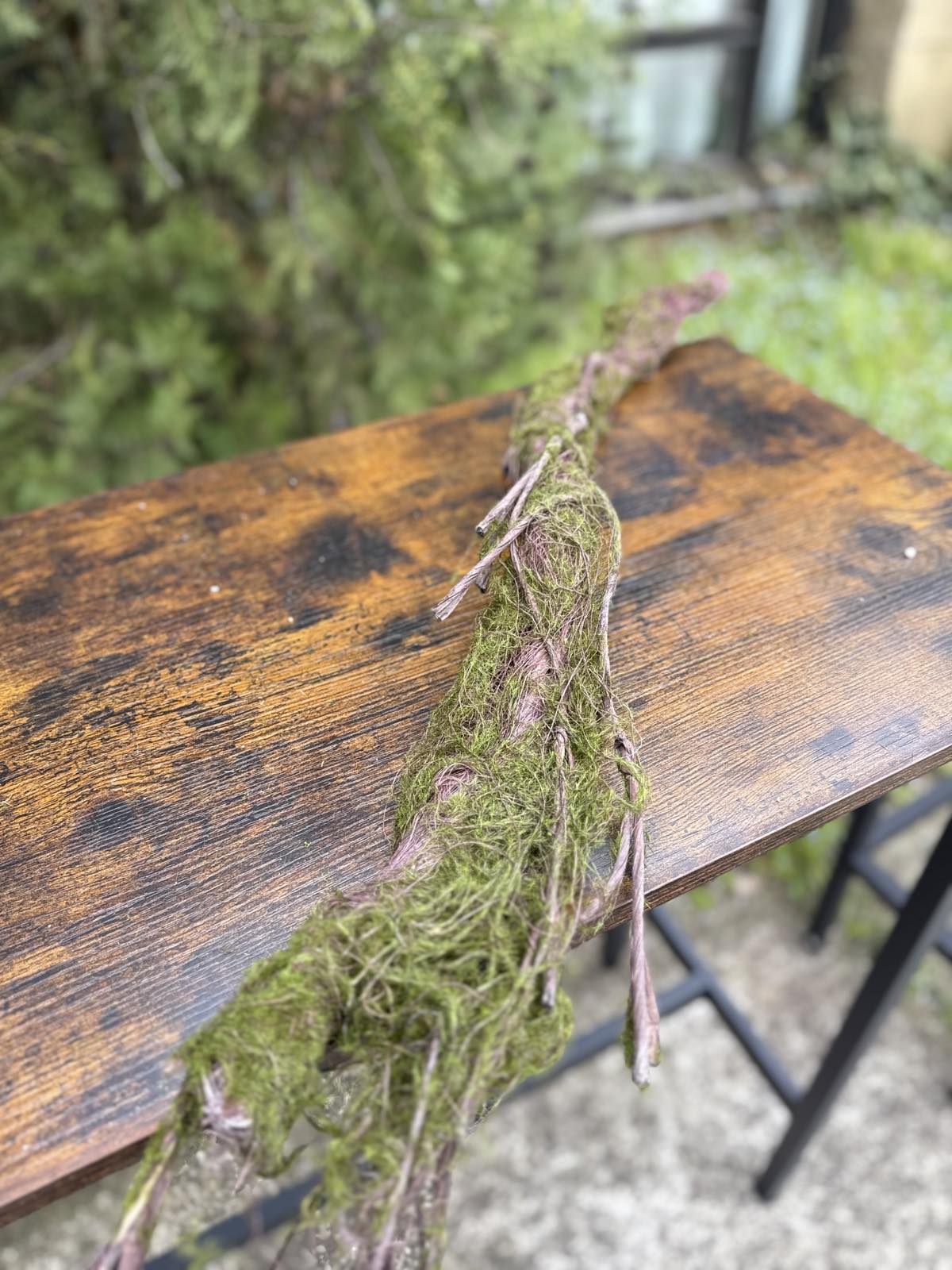 Клон с мъх 0.80 м